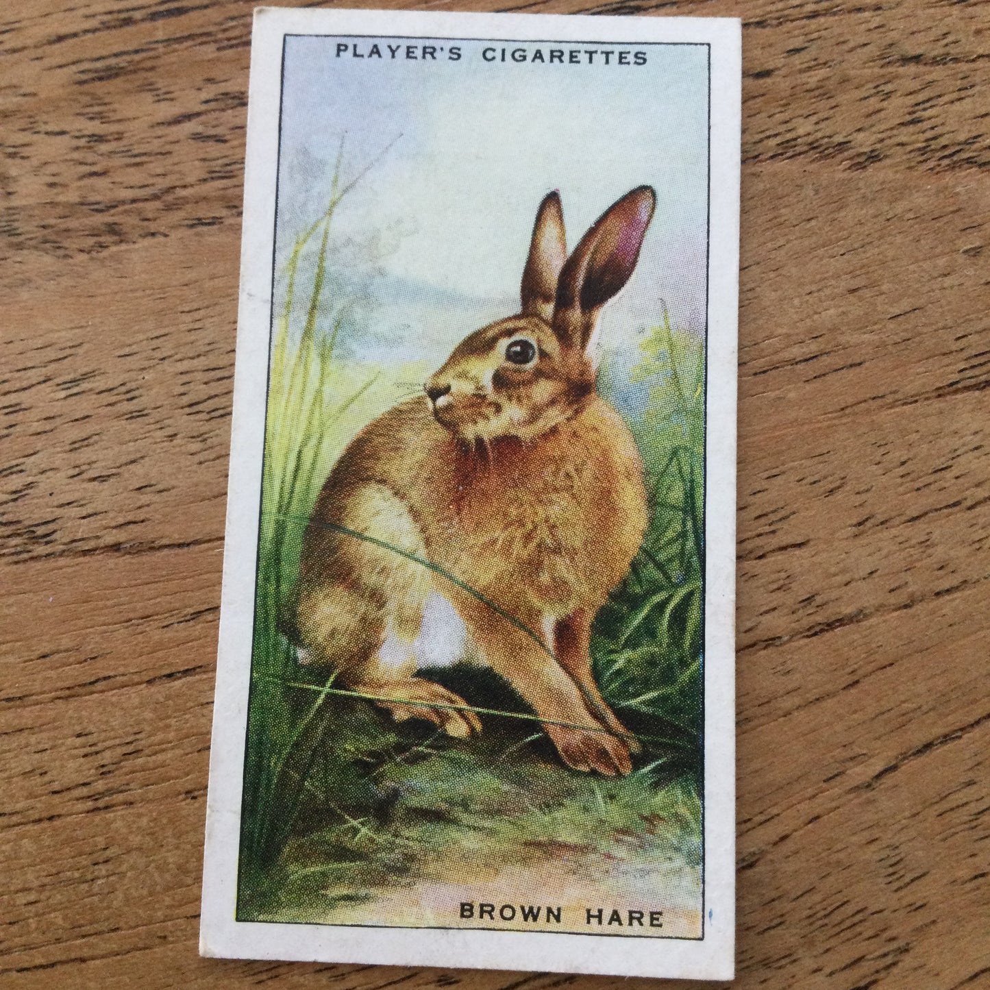 Animals of the Countryside. Players Cigarette Cards. 1939. 1930s. Sold individually so you can take your pick.