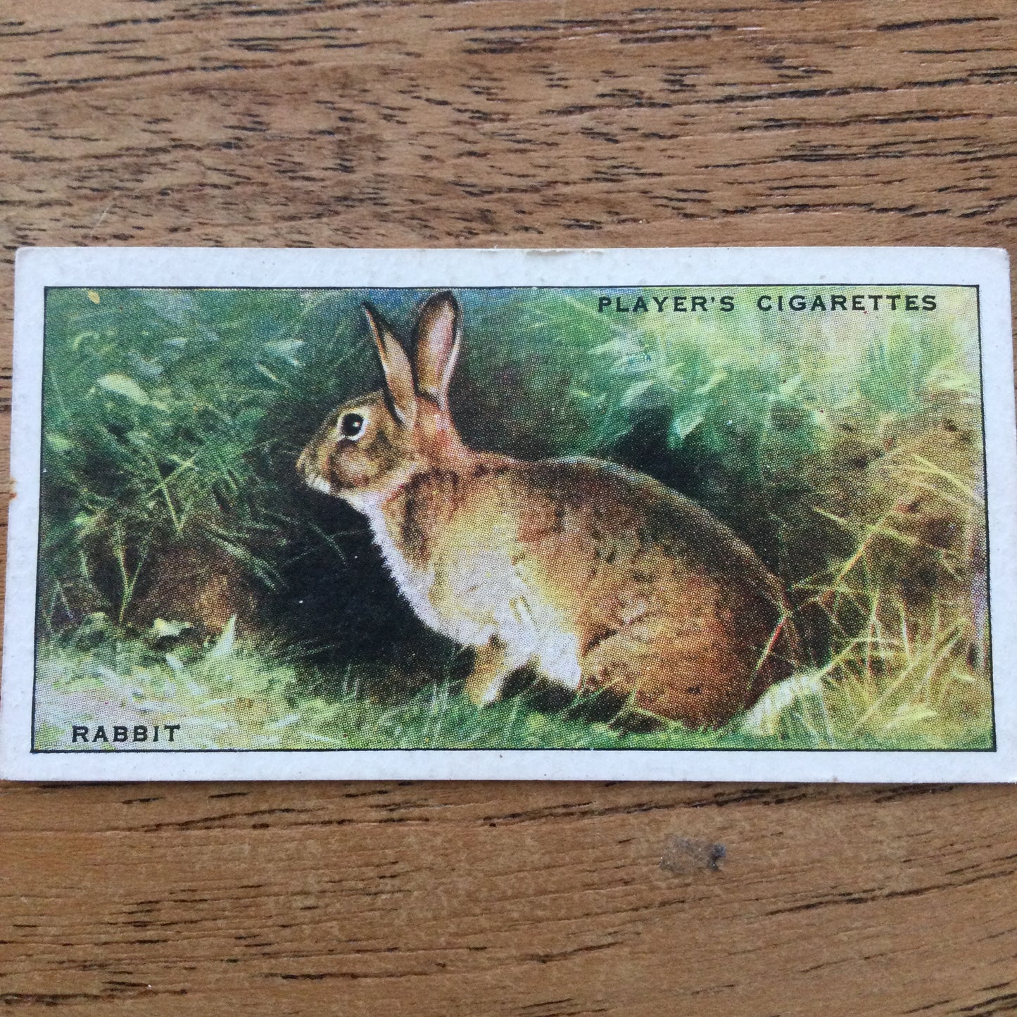 Animals of the Countryside. Players Cigarette Cards. 1939. 1930s. Sold individually so you can take your pick.