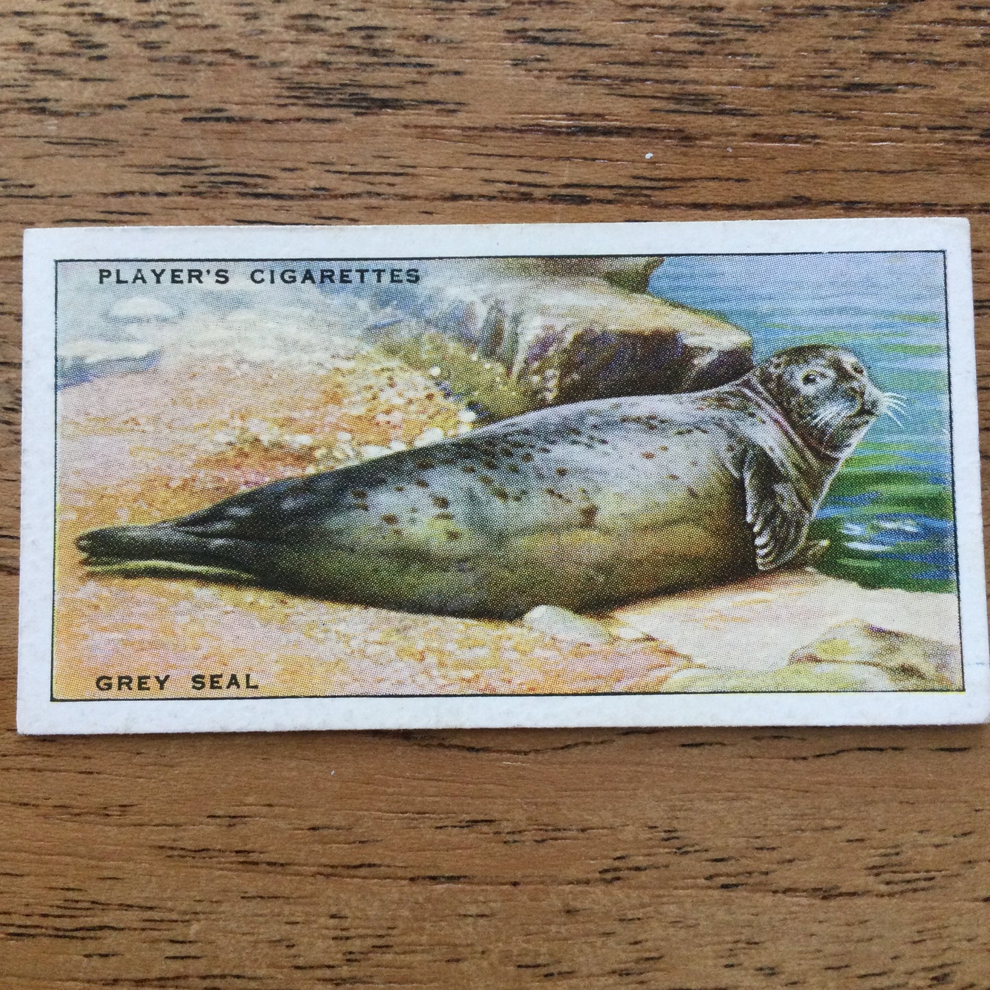 Animals of the Countryside. Players Cigarette Cards. 1939. 1930s. Sold individually so you can take your pick.