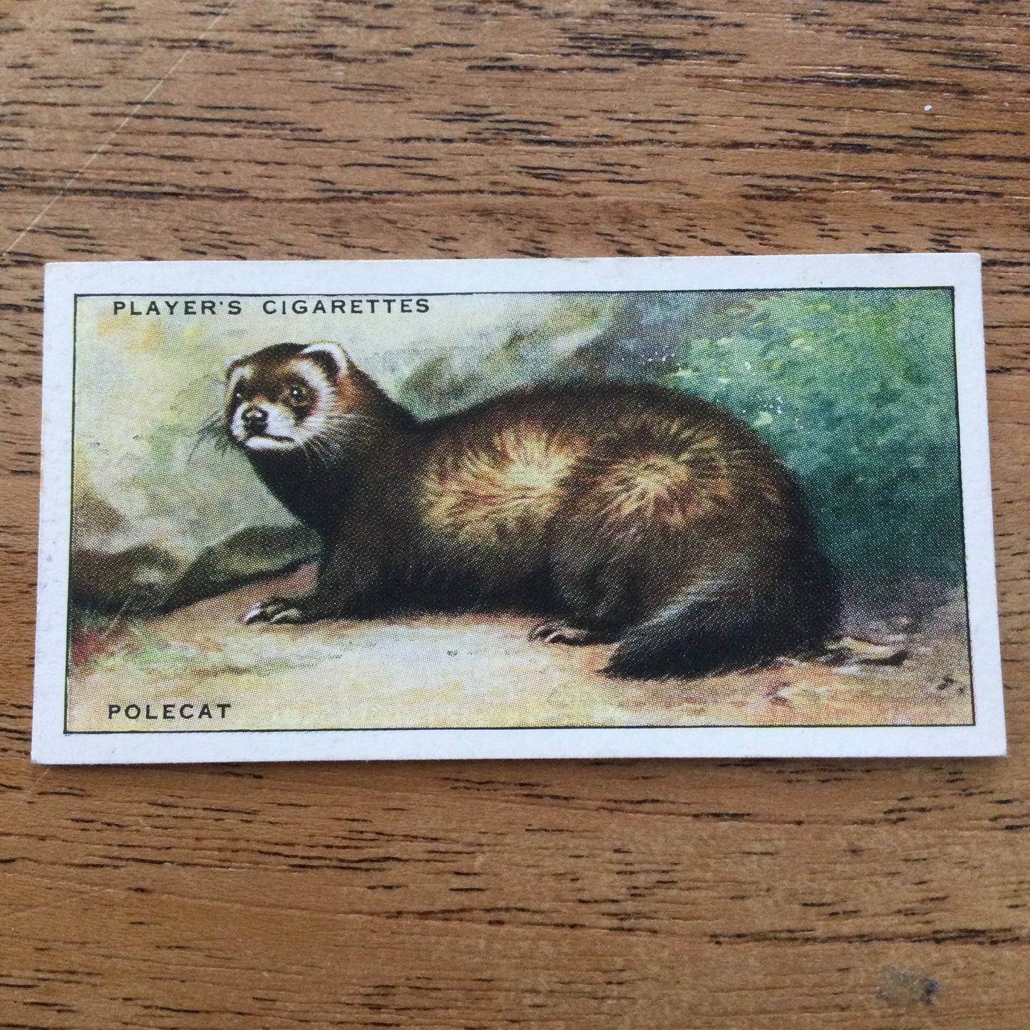 Animals of the Countryside. Players Cigarette Cards. 1939. 1930s. Sold individually so you can take your pick.