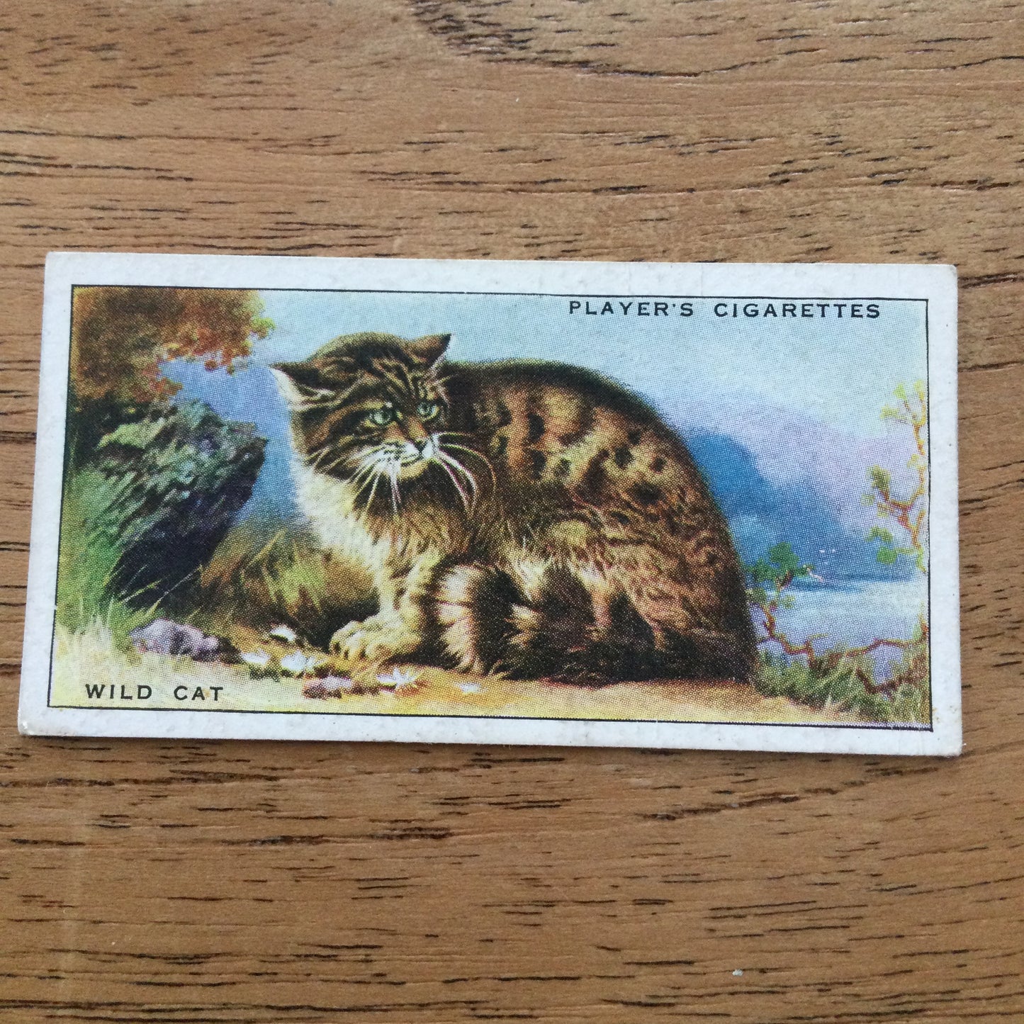 Animals of the Countryside. Players Cigarette Cards. 1939. 1930s. Sold individually so you can take your pick.