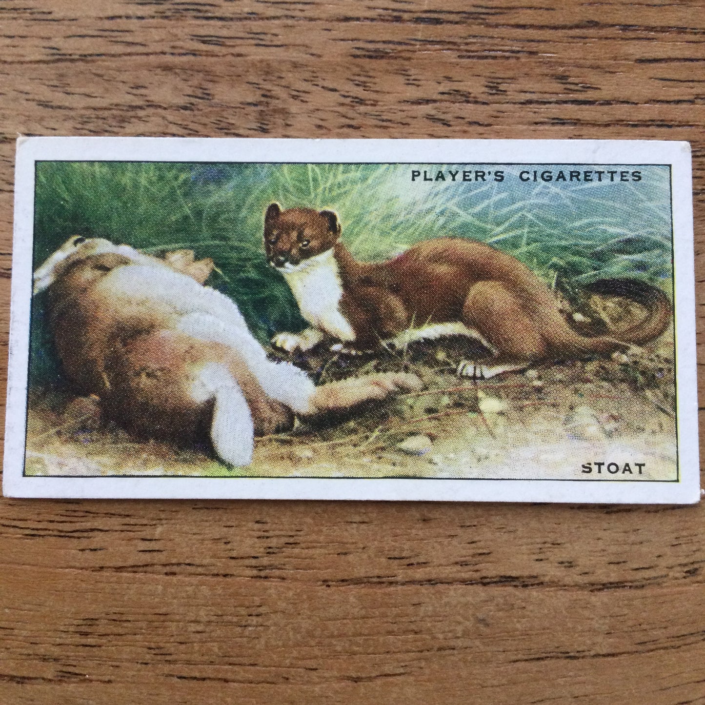 Animals of the Countryside. Players Cigarette Cards. 1939. 1930s. Sold individually so you can take your pick.