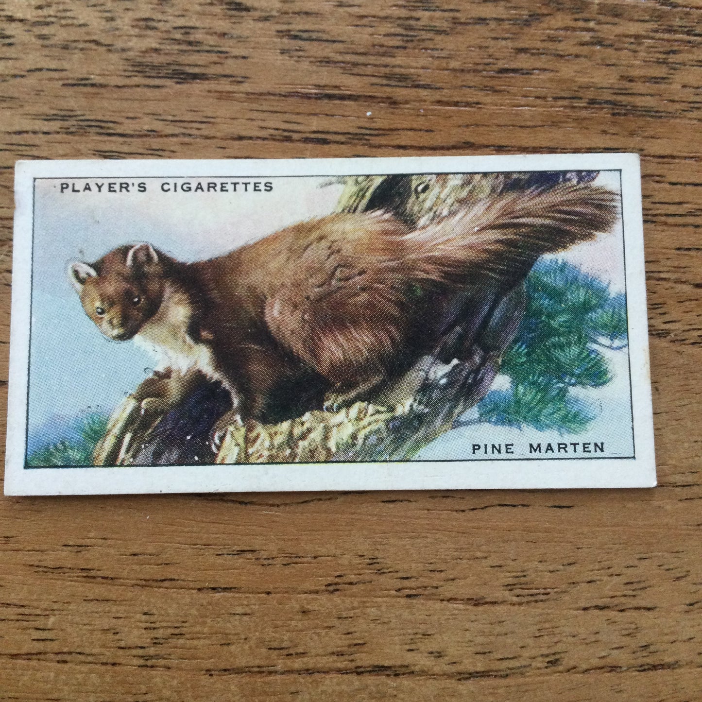 Animals of the Countryside. Players Cigarette Cards. 1939. 1930s. Sold individually so you can take your pick.