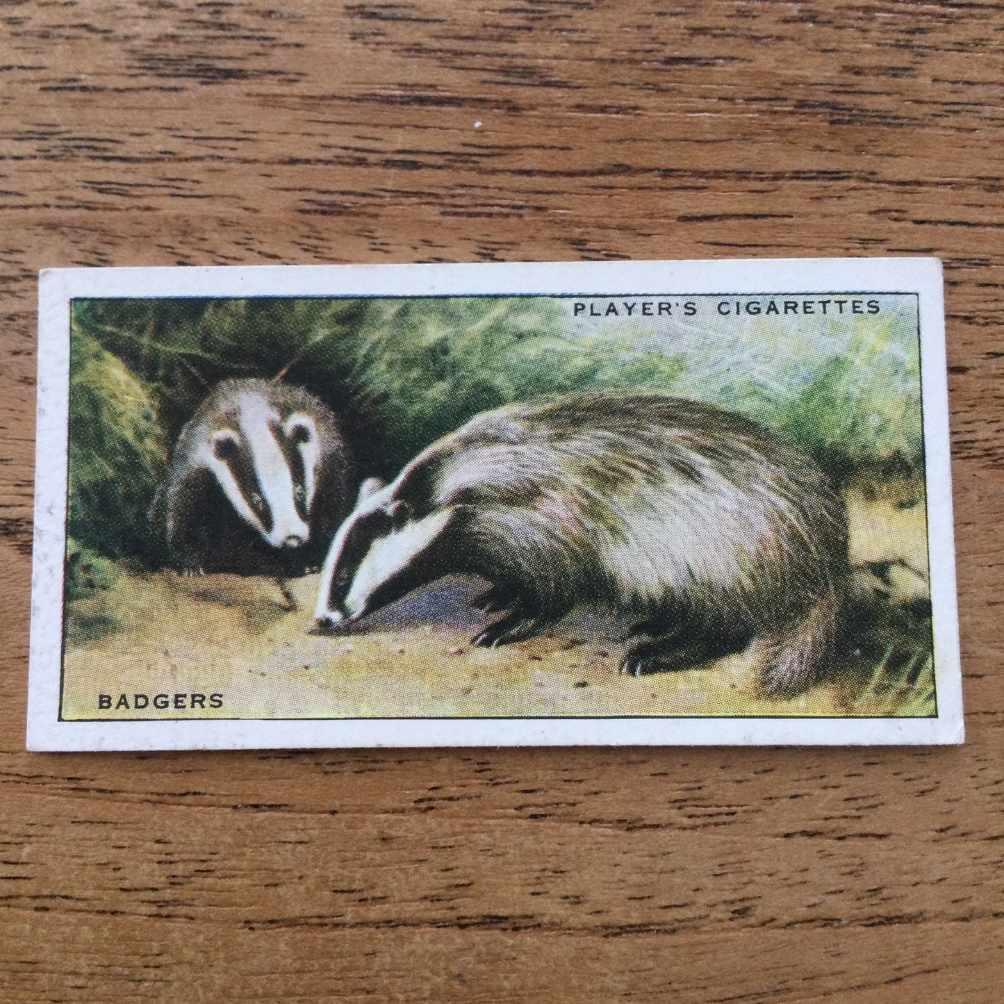 Animals of the Countryside. Players Cigarette Cards. 1939. 1930s. Sold individually so you can take your pick.