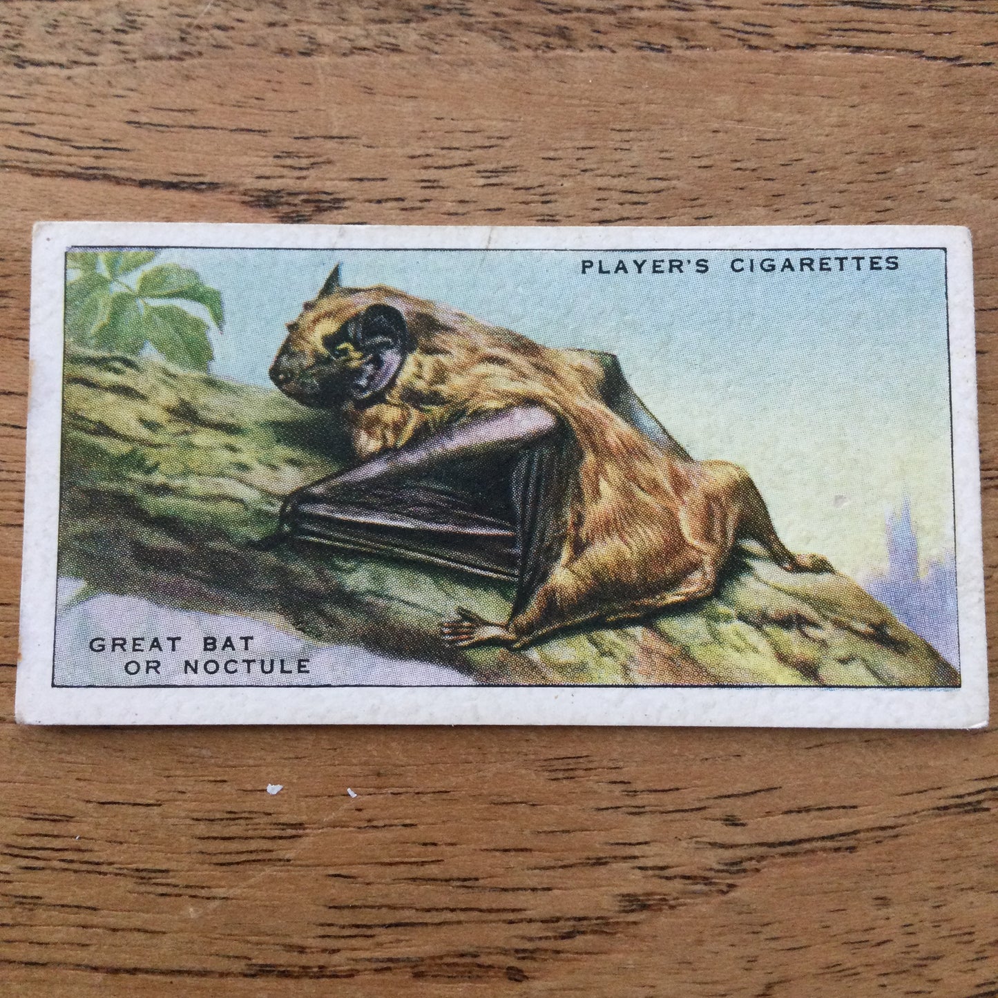 Animals of the Countryside. Players Cigarette Cards. 1939. 1930s. Sold individually so you can take your pick.