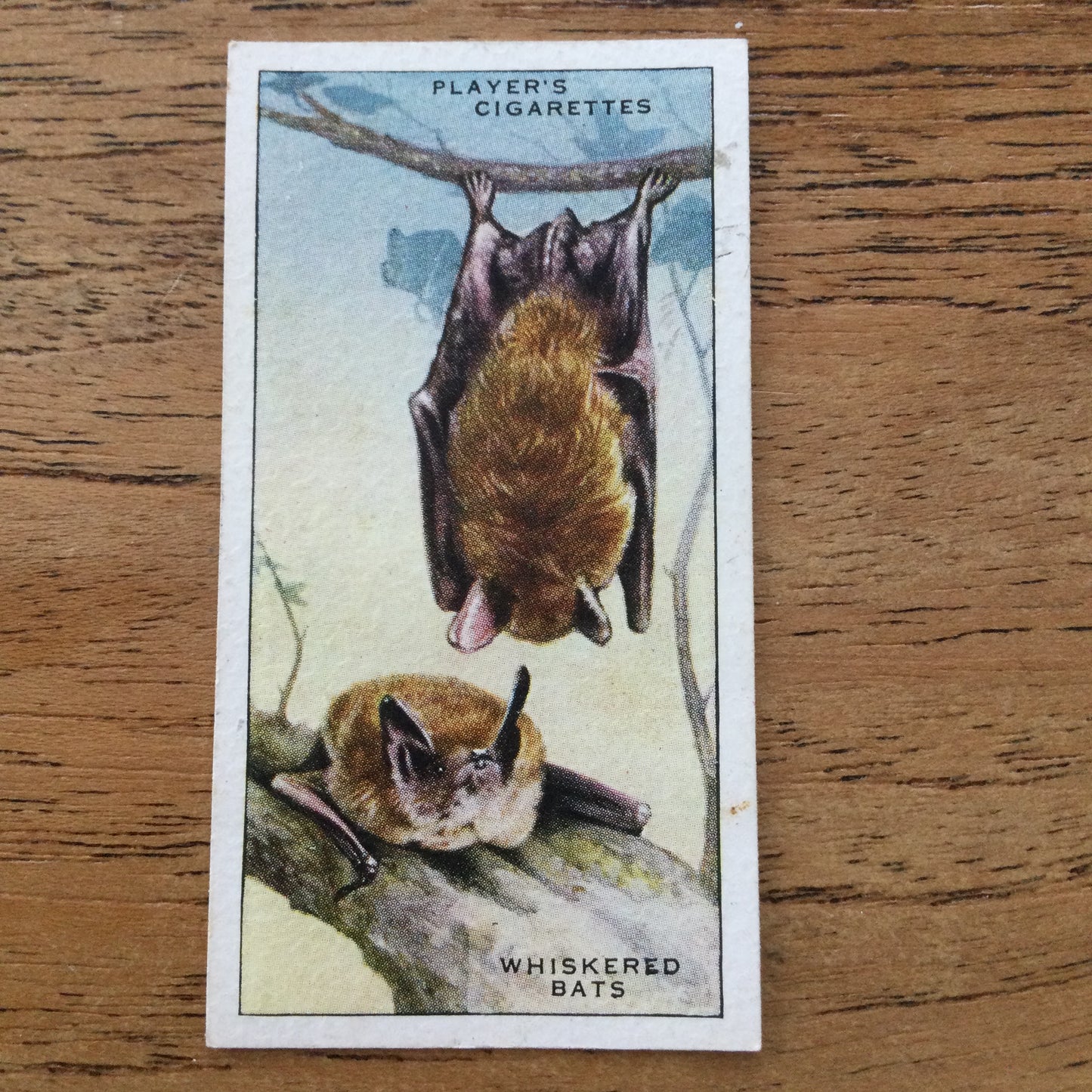 Animals of the Countryside. Players Cigarette Cards. 1939. 1930s. Sold individually so you can take your pick.