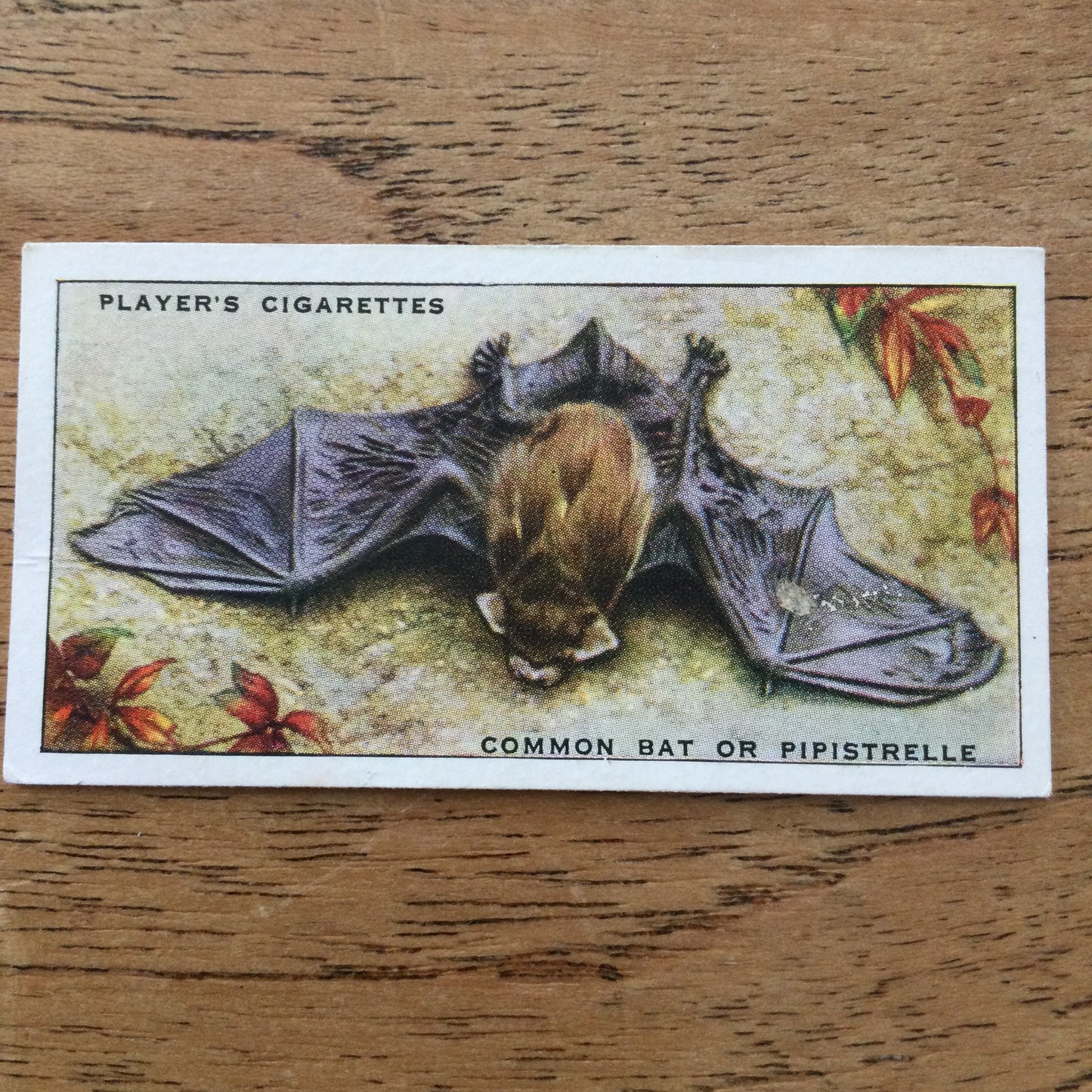 Animals of the Countryside. Players Cigarette Cards. 1939. 1930s. Sold individually so you can take your pick.