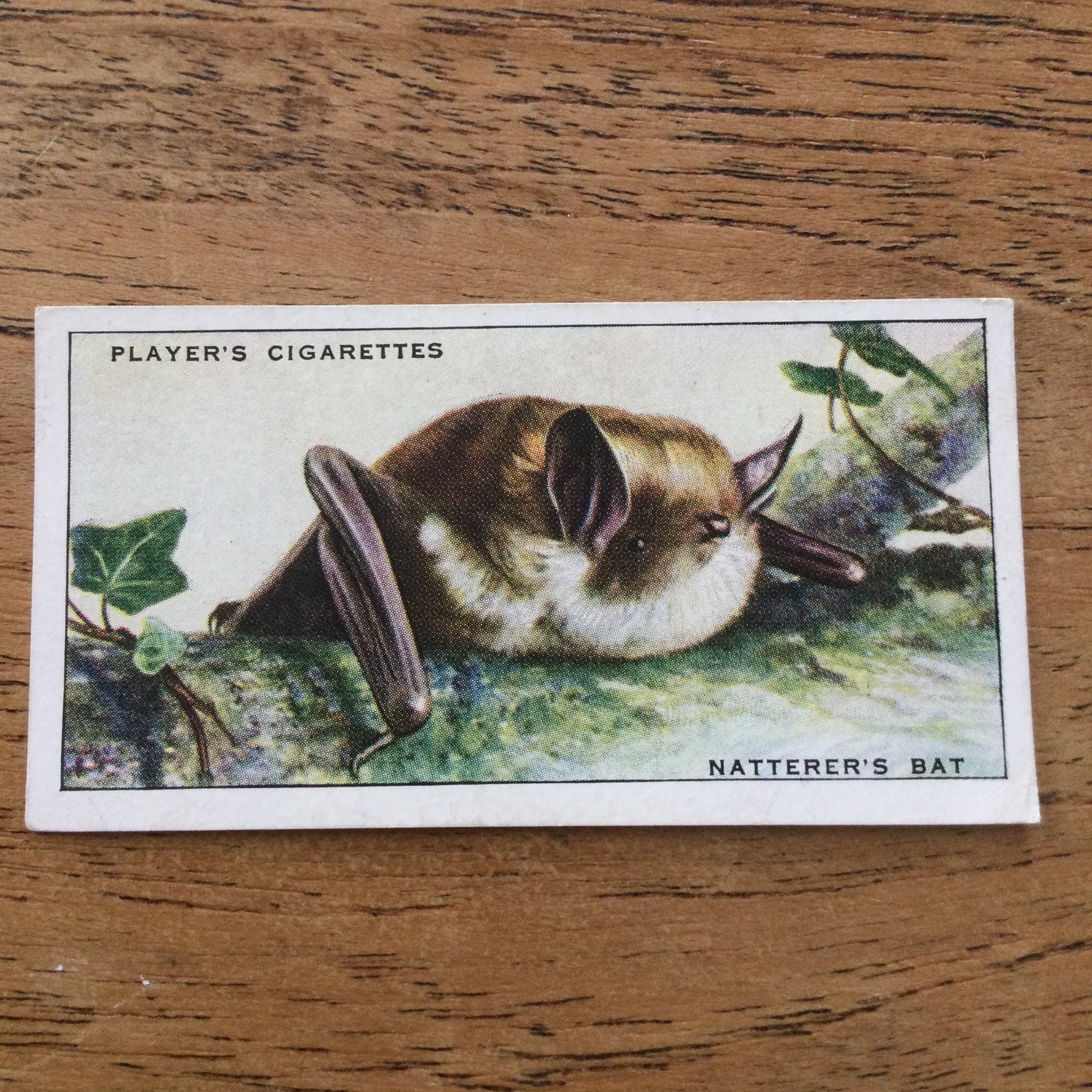 Animals of the Countryside. Players Cigarette Cards. 1939. 1930s. Sold individually so you can take your pick.