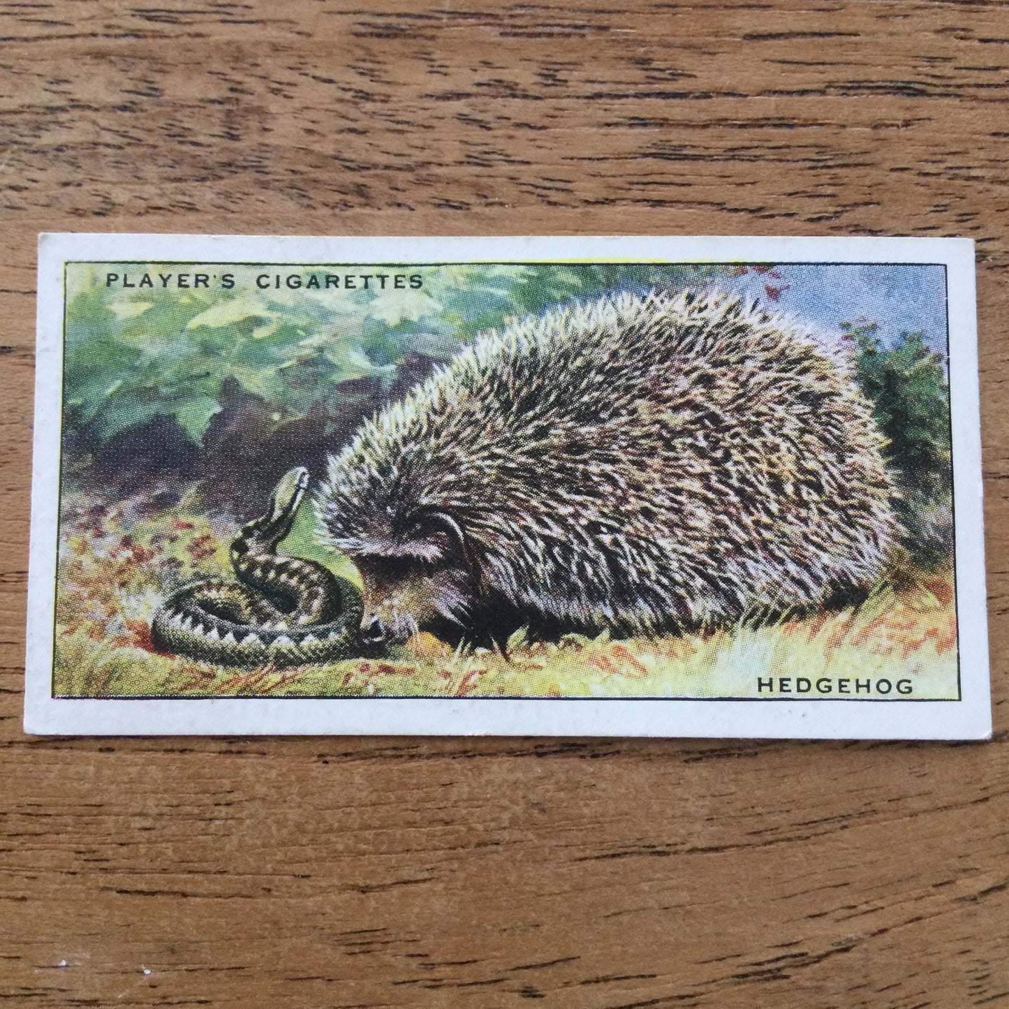 Animals of the Countryside. Players Cigarette Cards. 1939. 1930s. Sold individually so you can take your pick.