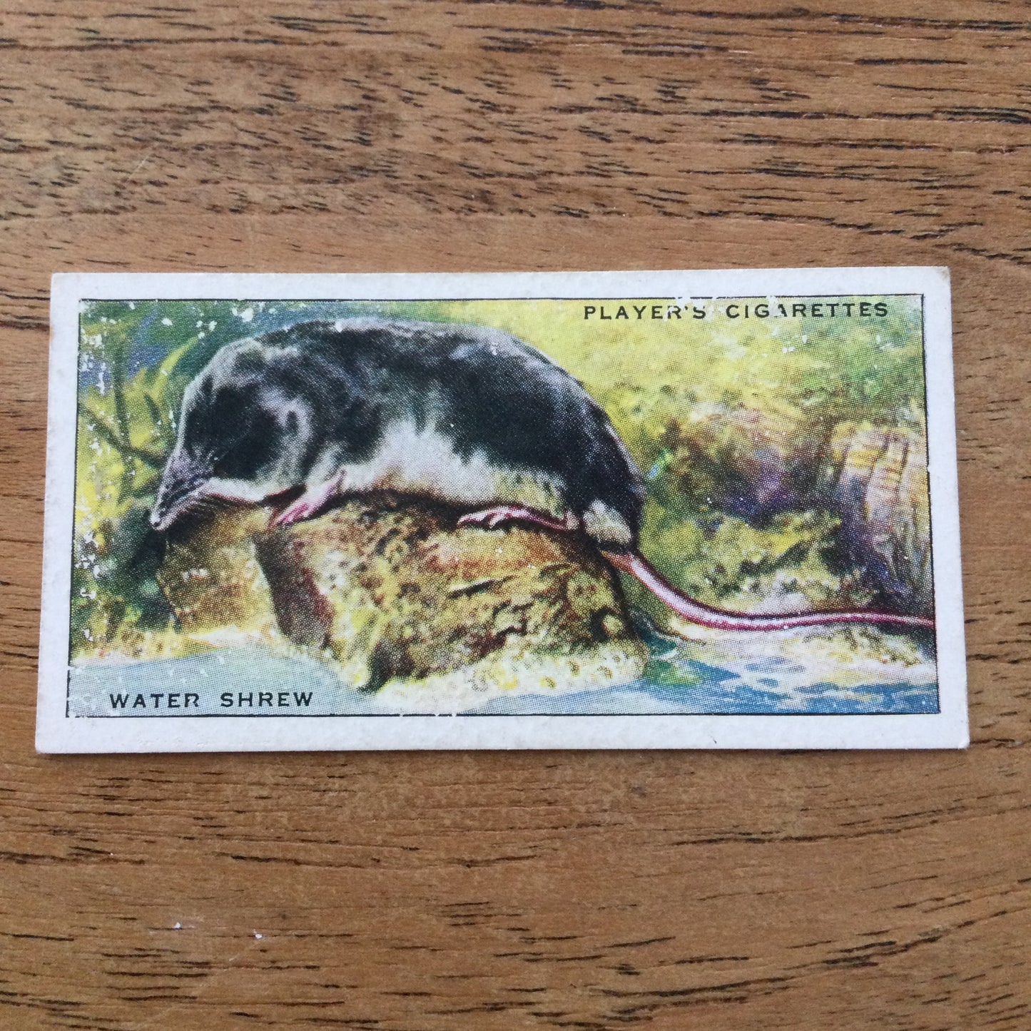 Animals of the Countryside. Players Cigarette Cards. 1939. 1930s. Sold individually so you can take your pick.