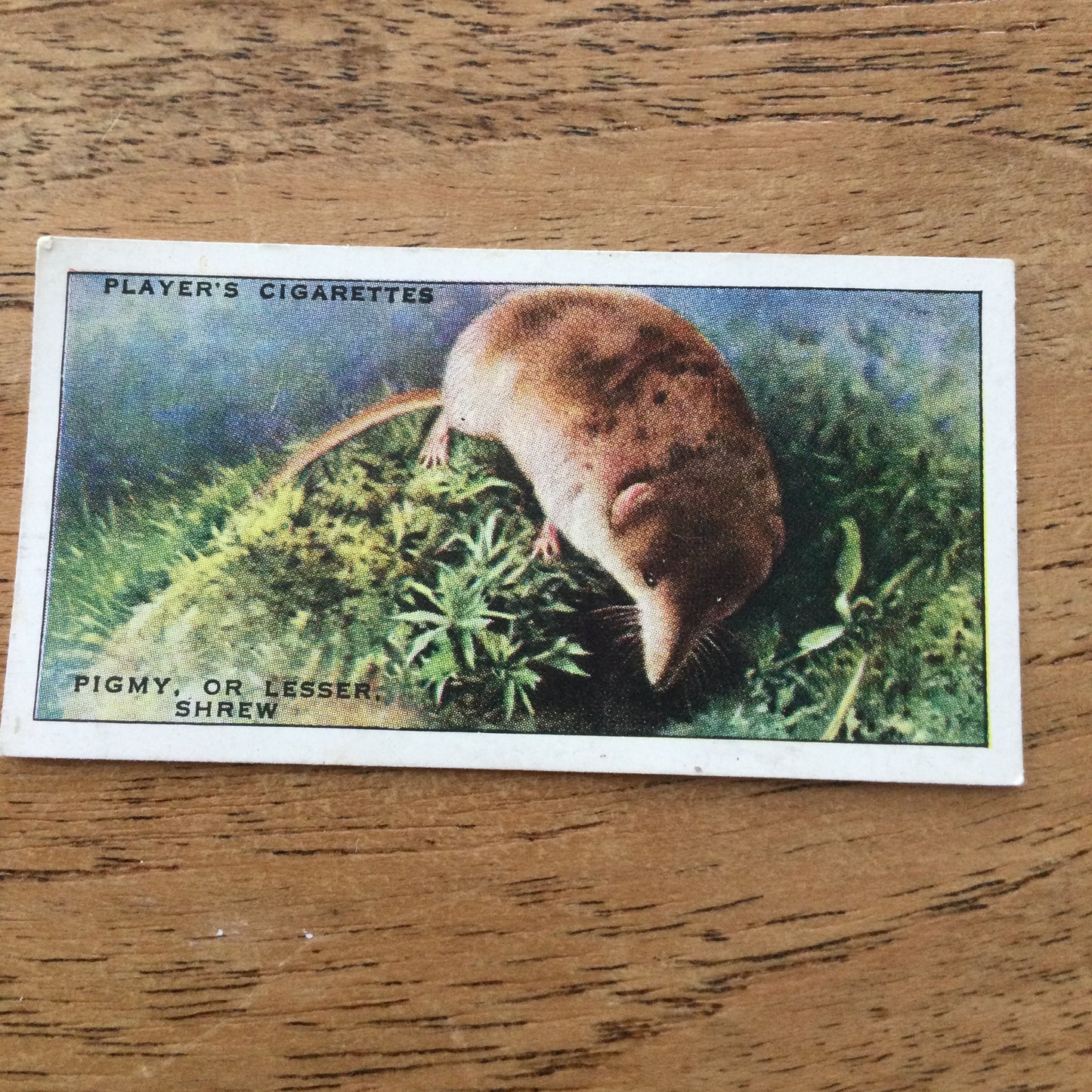 Animals of the Countryside. Players Cigarette Cards. 1939. 1930s. Sold individually so you can take your pick.