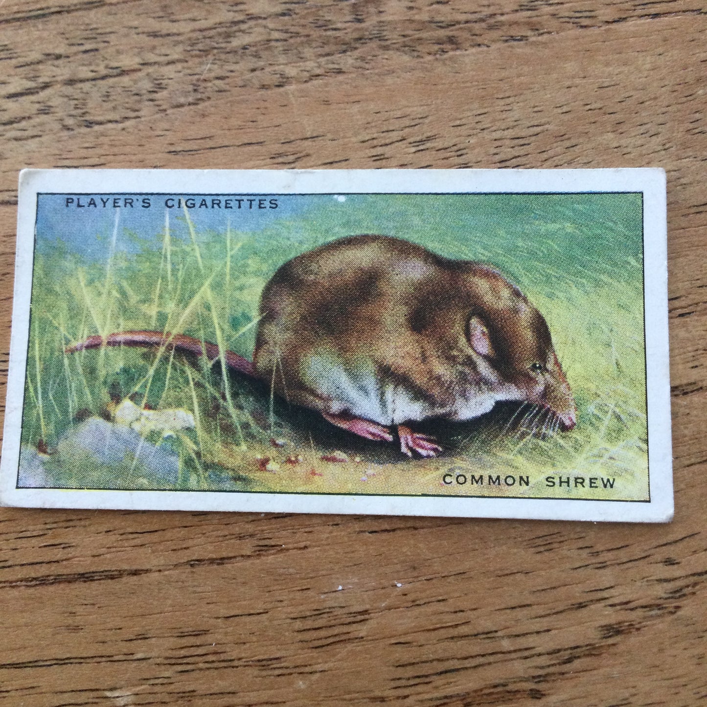 Animals of the Countryside. Players Cigarette Cards. 1939. 1930s. Sold individually so you can take your pick.