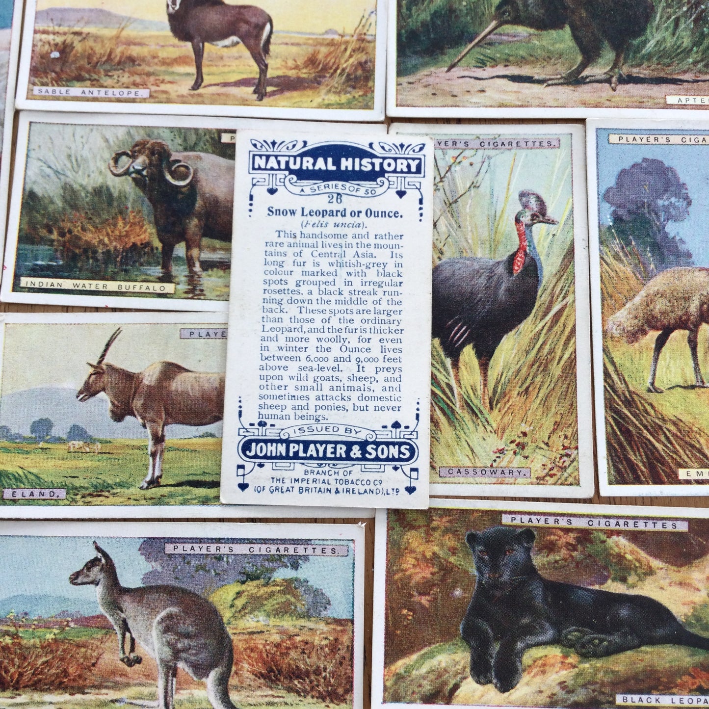 Players Cigarette Cards 'Natural History' 1924. Sold individually so take your pick.