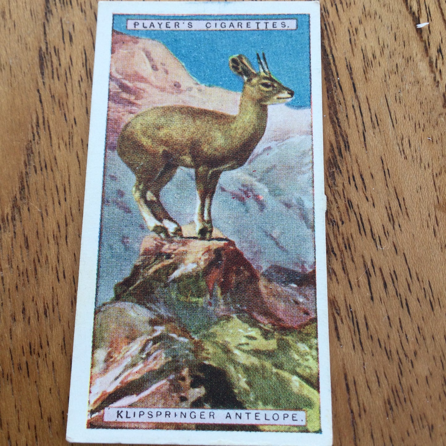 Players Cigarette Cards 'Natural History' 1924. Sold individually so take your pick.