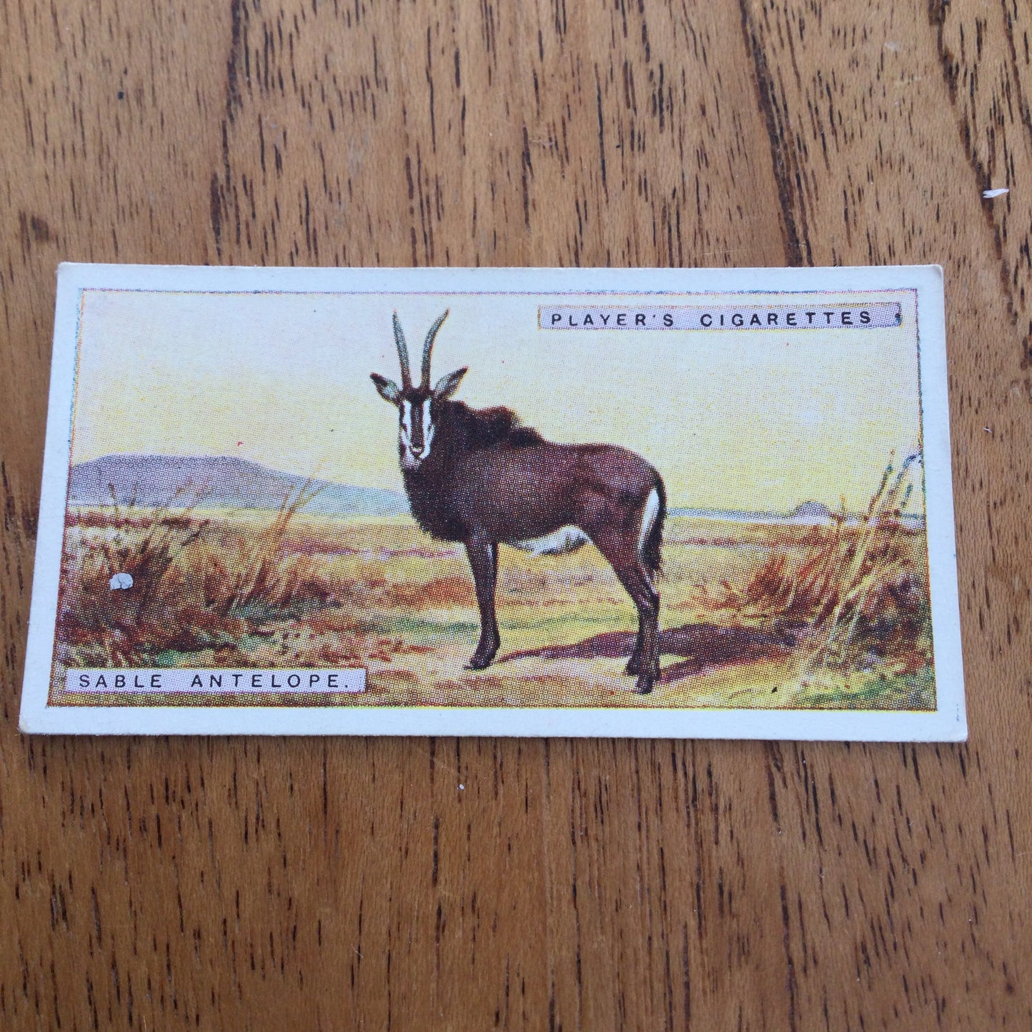 Players Cigarette Cards 'Natural History' 1924. Sold individually so take your pick.