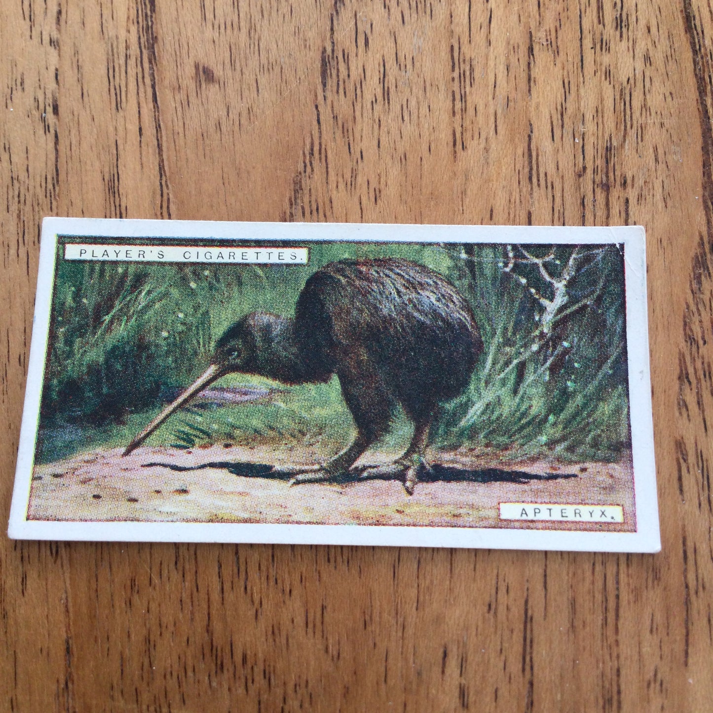 Players Cigarette Cards 'Natural History' 1924. Sold individually so take your pick.