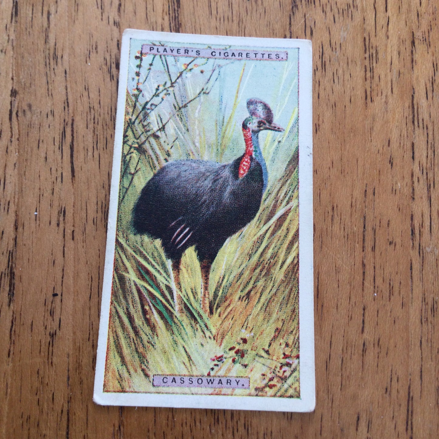 Players Cigarette Cards 'Natural History' 1924. Sold individually so take your pick.