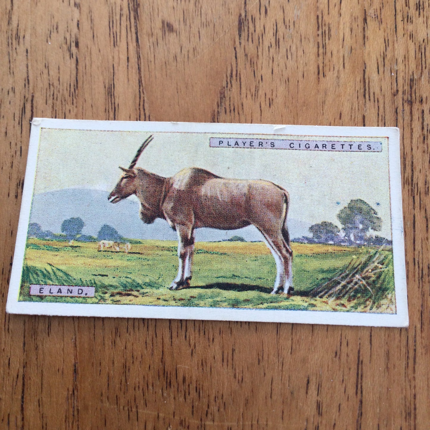 Players Cigarette Cards 'Natural History' 1924. Sold individually so take your pick.