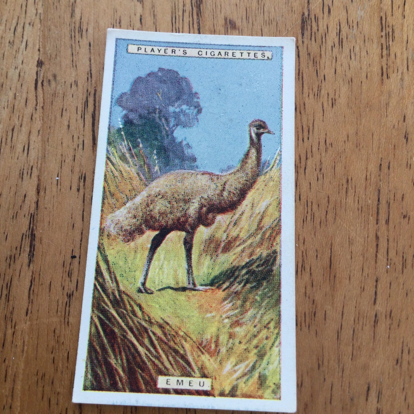 Players Cigarette Cards 'Natural History' 1924. Sold individually so take your pick.