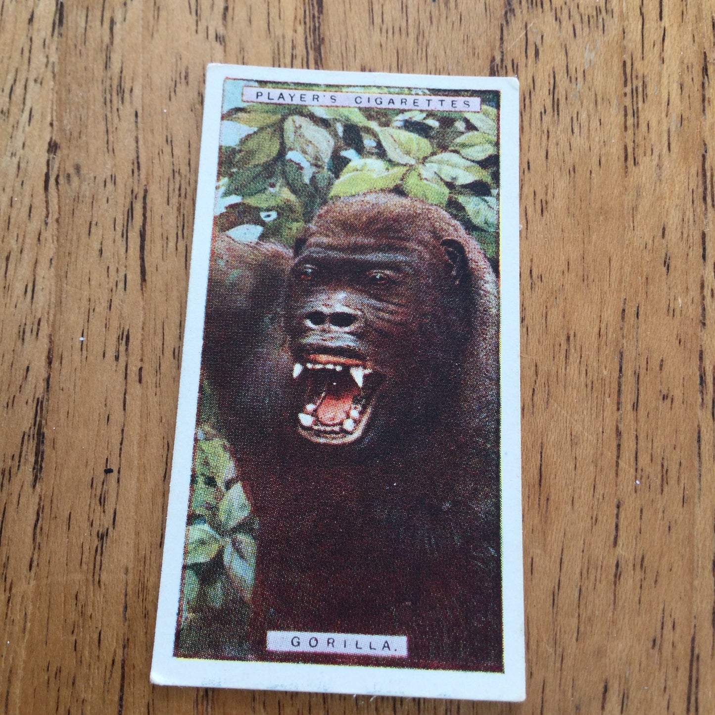 Players Cigarette Cards 'Natural History' 1924. Sold individually so take your pick.