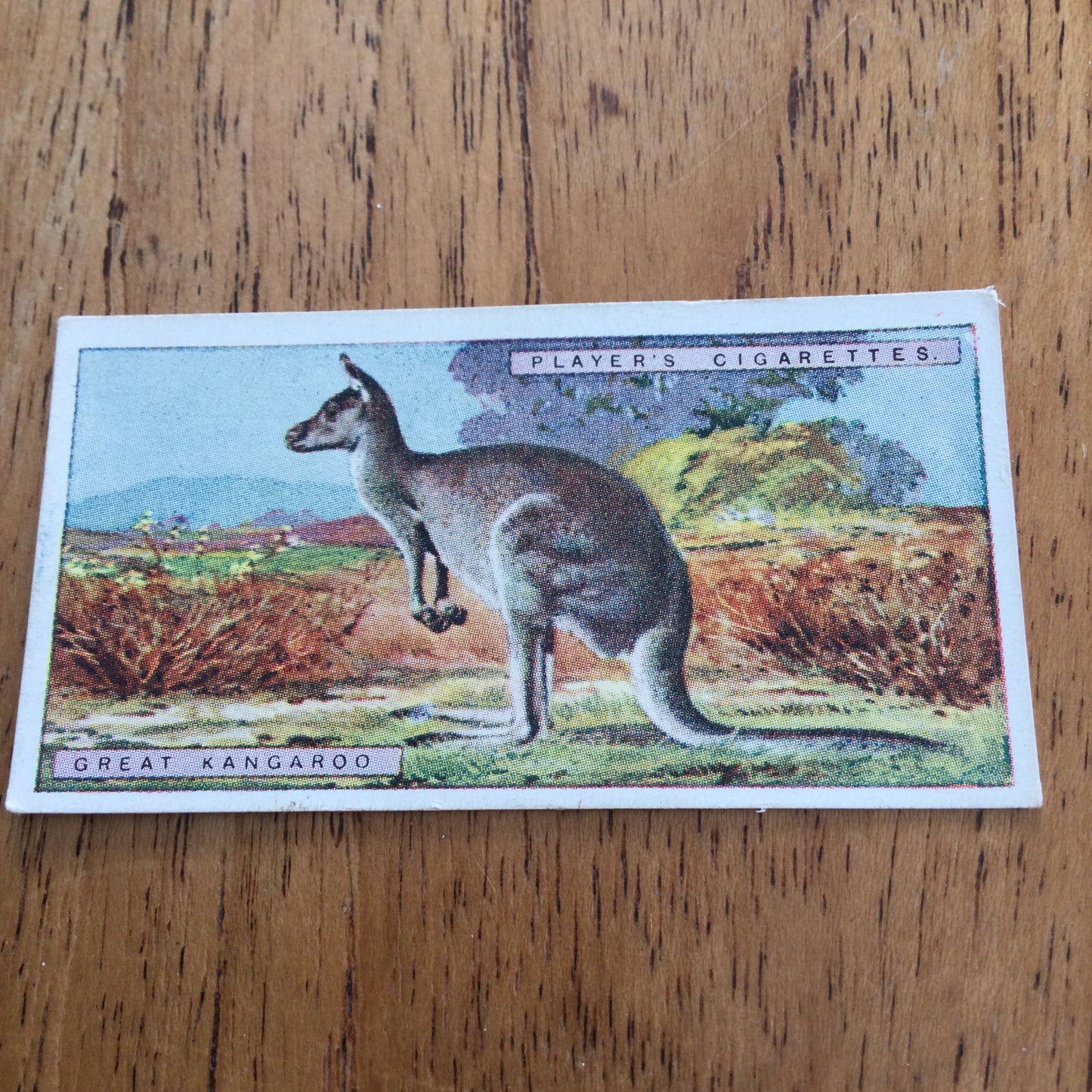 Players Cigarette Cards 'Natural History' 1924. Sold individually so take your pick.