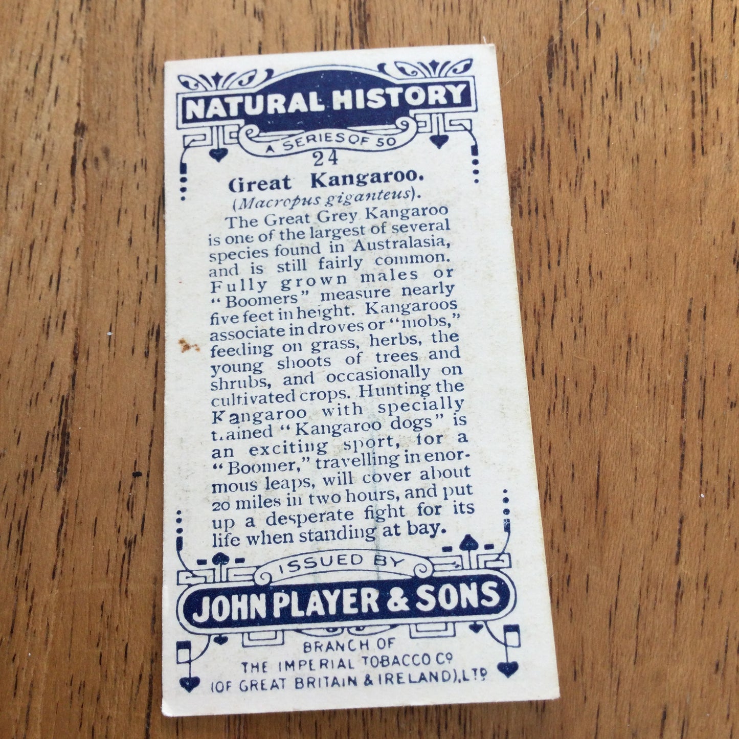 Players Cigarette Cards 'Natural History' 1924. Sold individually so take your pick.