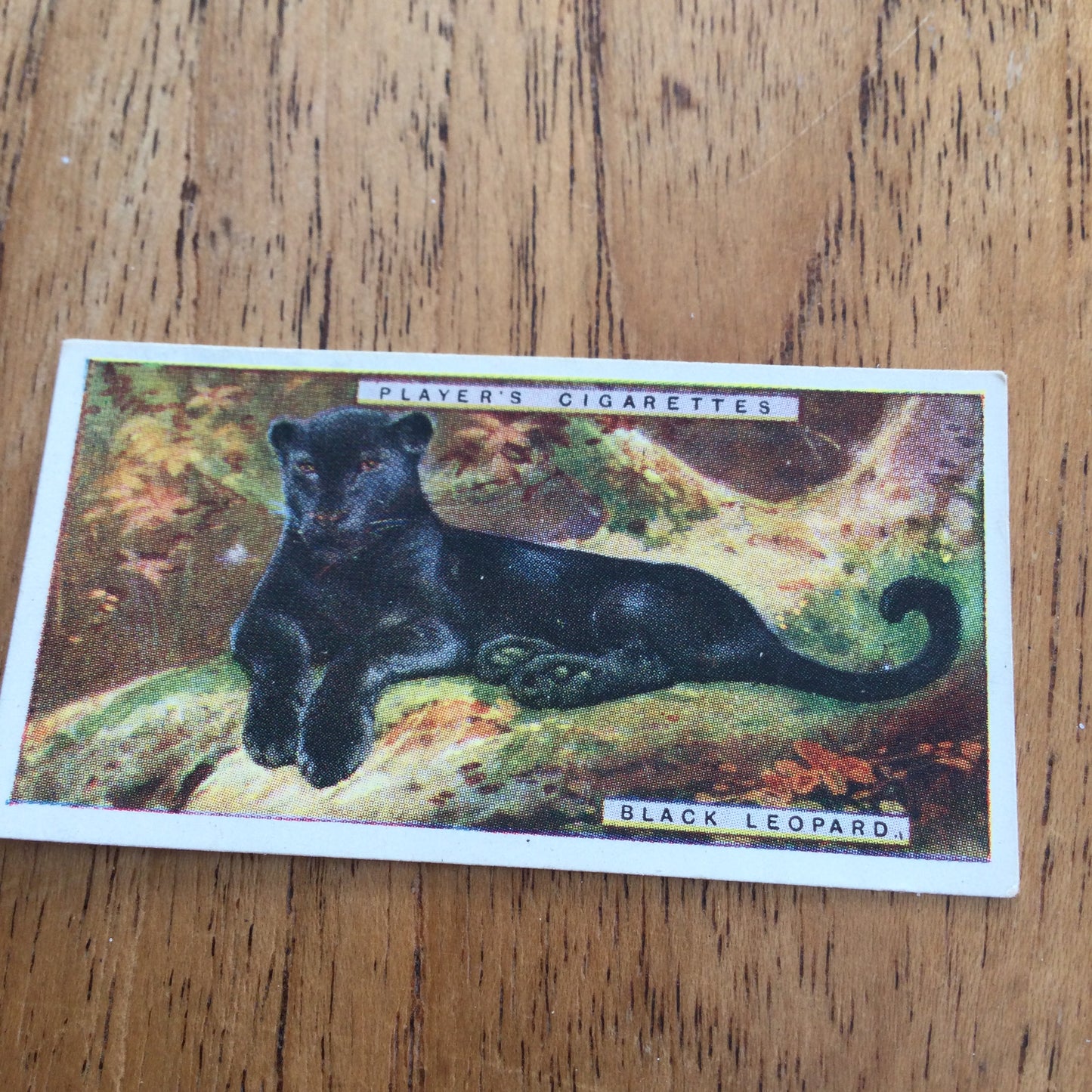 Players Cigarette Cards 'Natural History' 1924. Sold individually so take your pick.