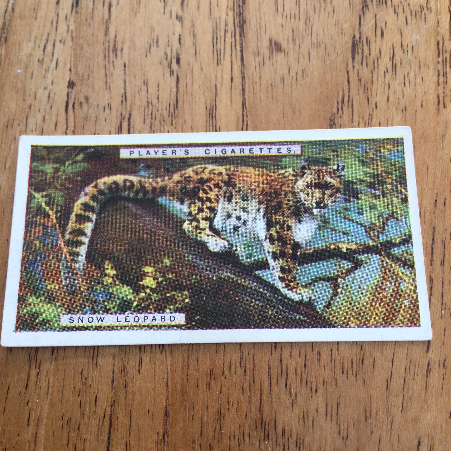 Players Cigarette Cards 'Natural History' 1924. Sold individually so take your pick.