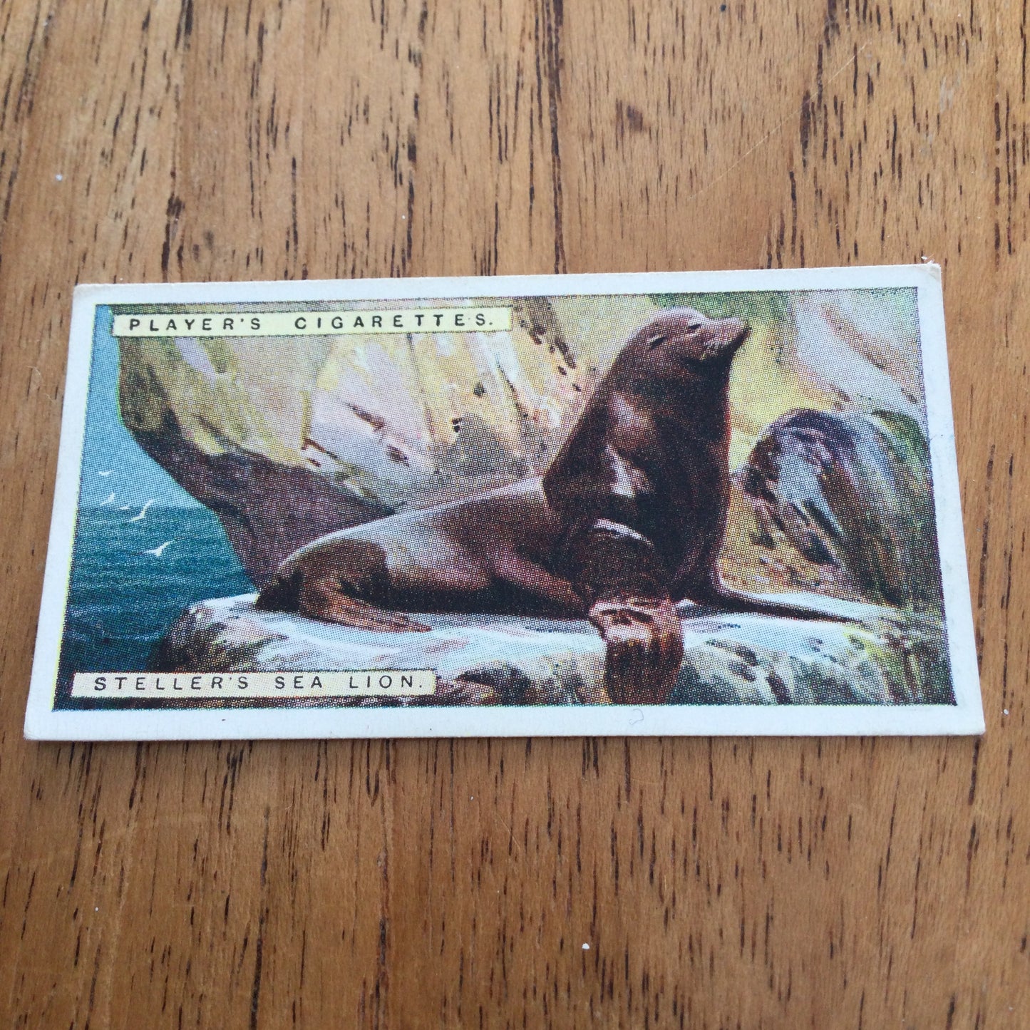 Players Cigarette Cards 'Natural History' 1924. Sold individually so take your pick.