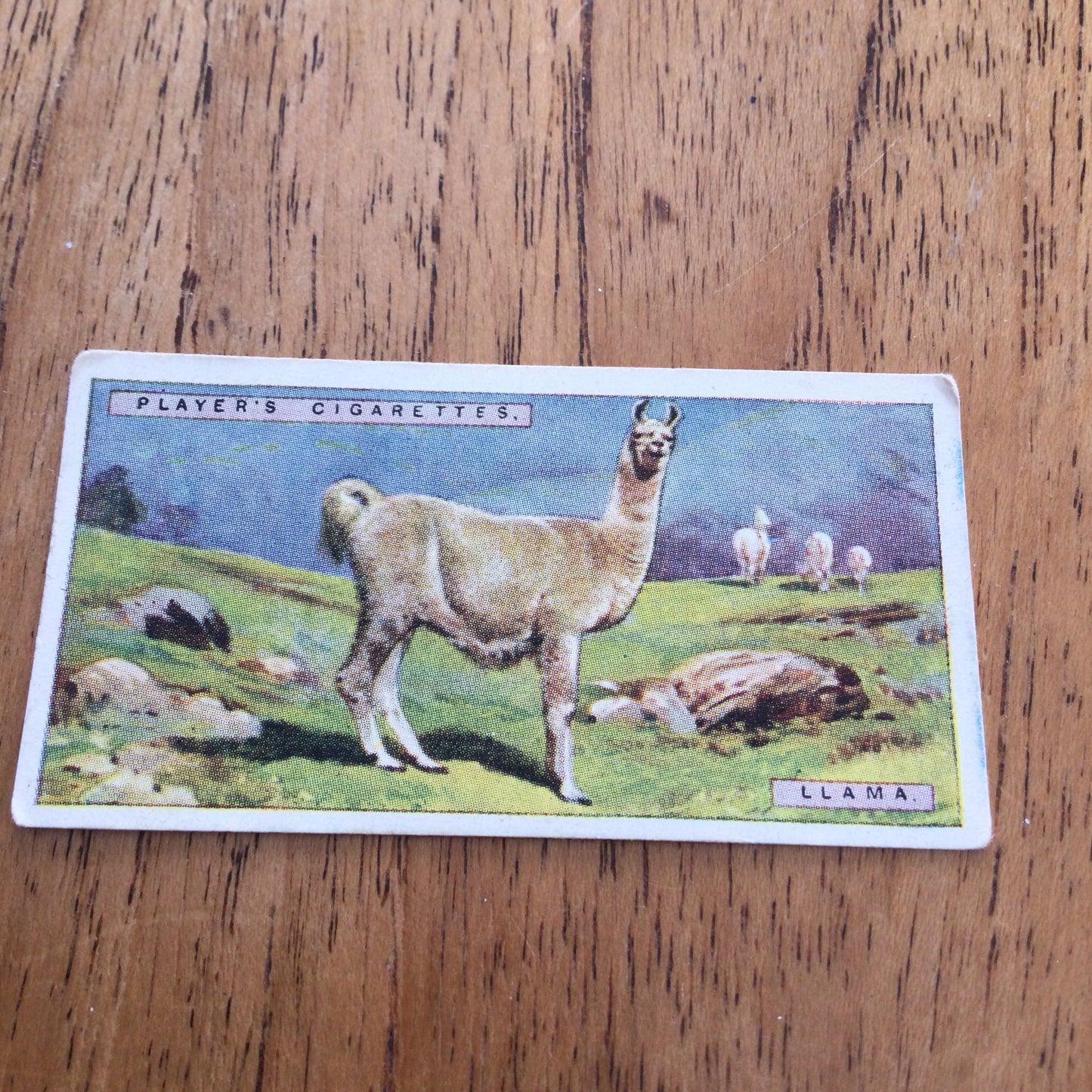 Players Cigarette Cards 'Natural History' 1924. Sold individually so take your pick.