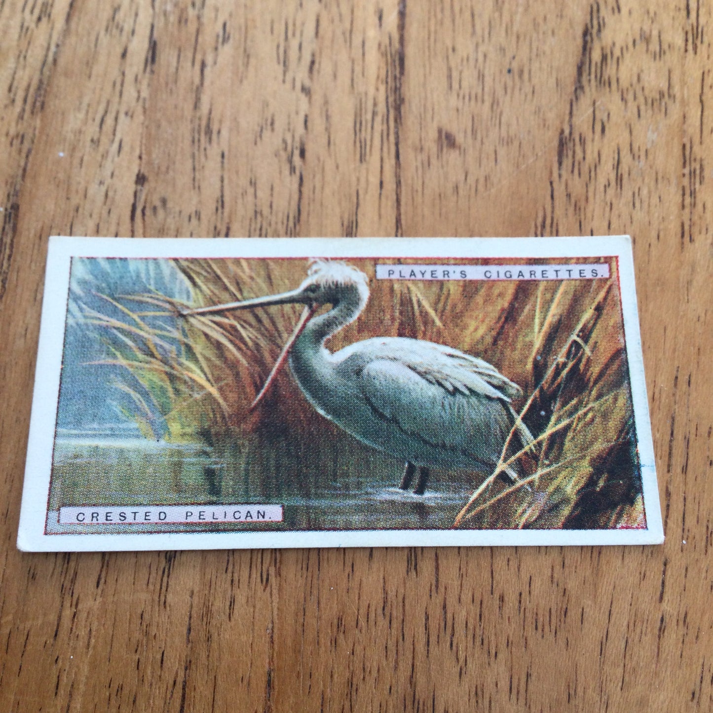 Players Cigarette Cards 'Natural History' 1924. Sold individually so take your pick.