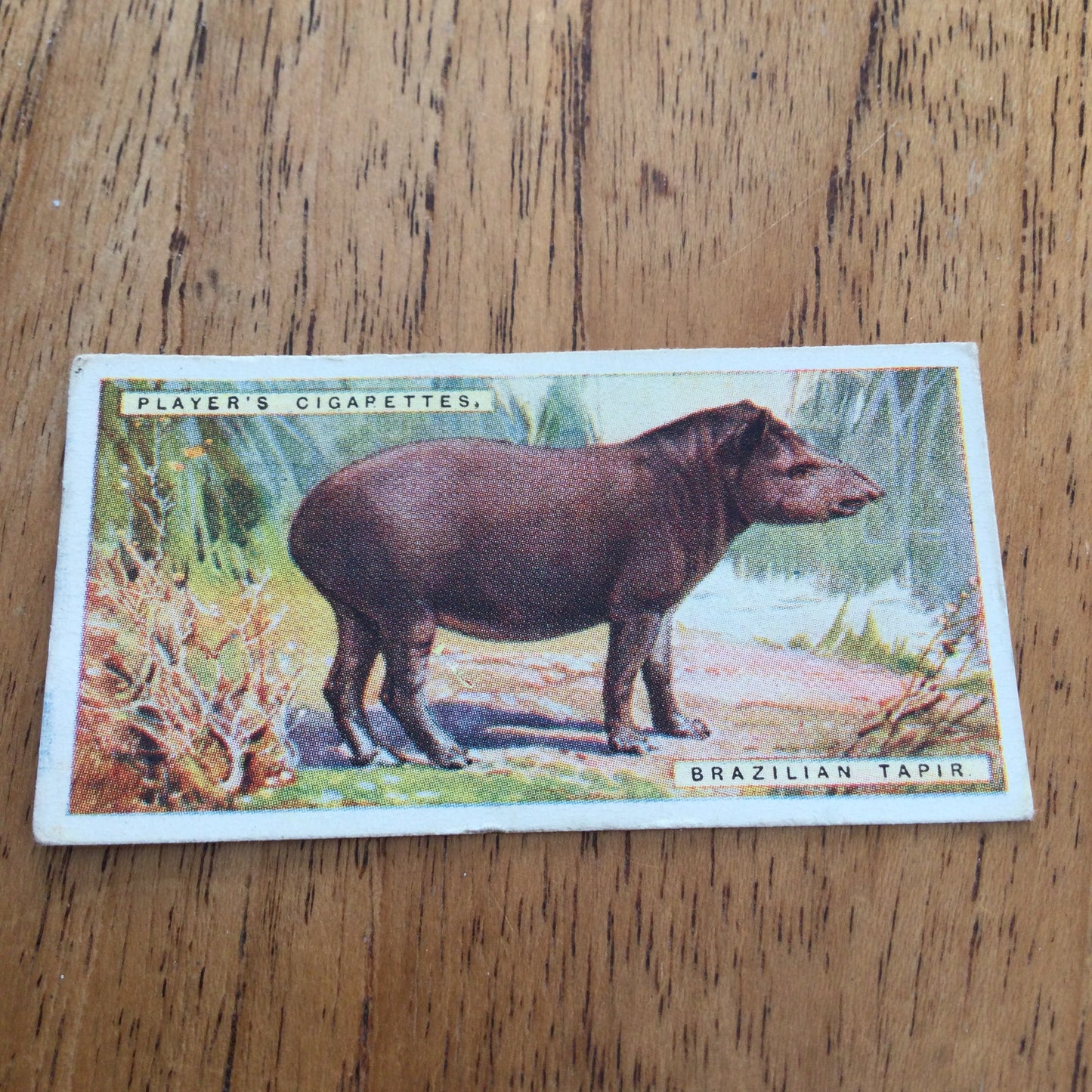 Players Cigarette Cards 'Natural History' 1924. Sold individually so take your pick.