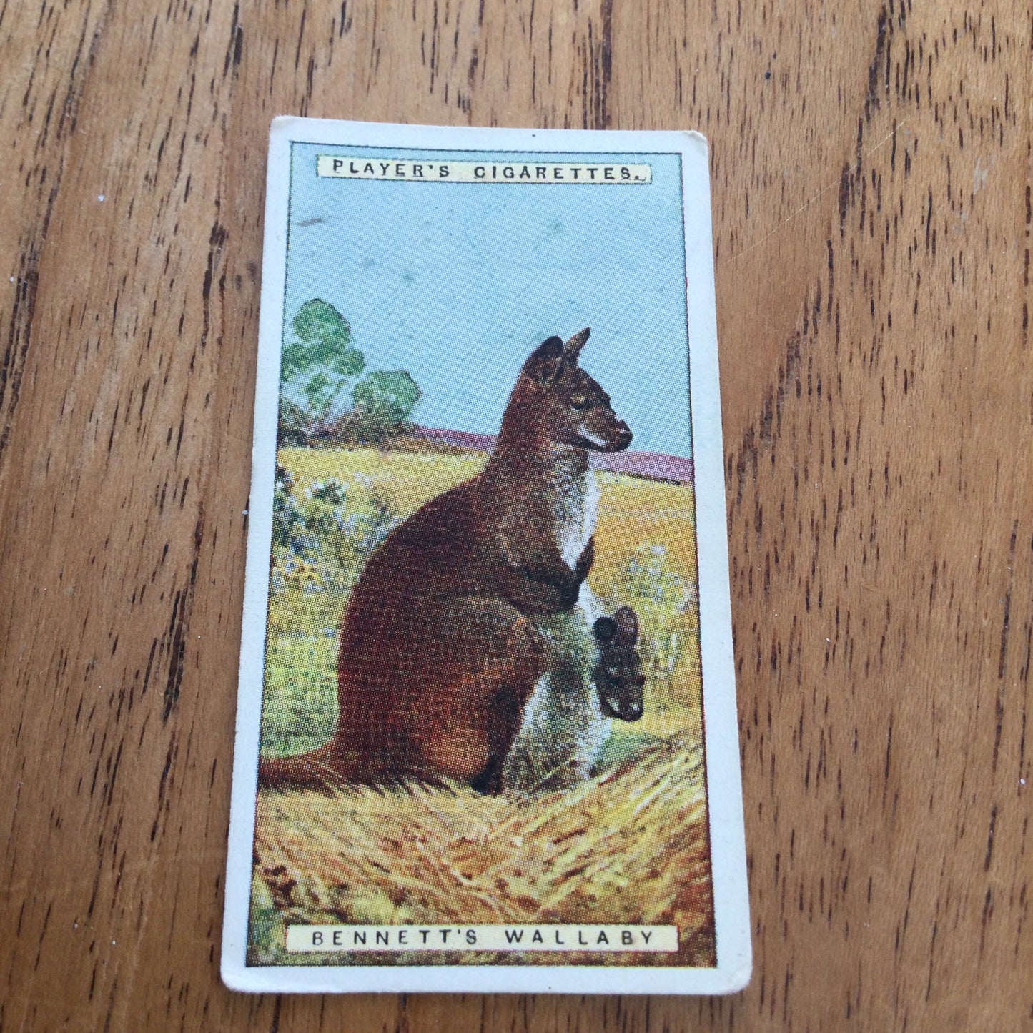 Players Cigarette Cards 'Natural History' 1924. Sold individually so take your pick.