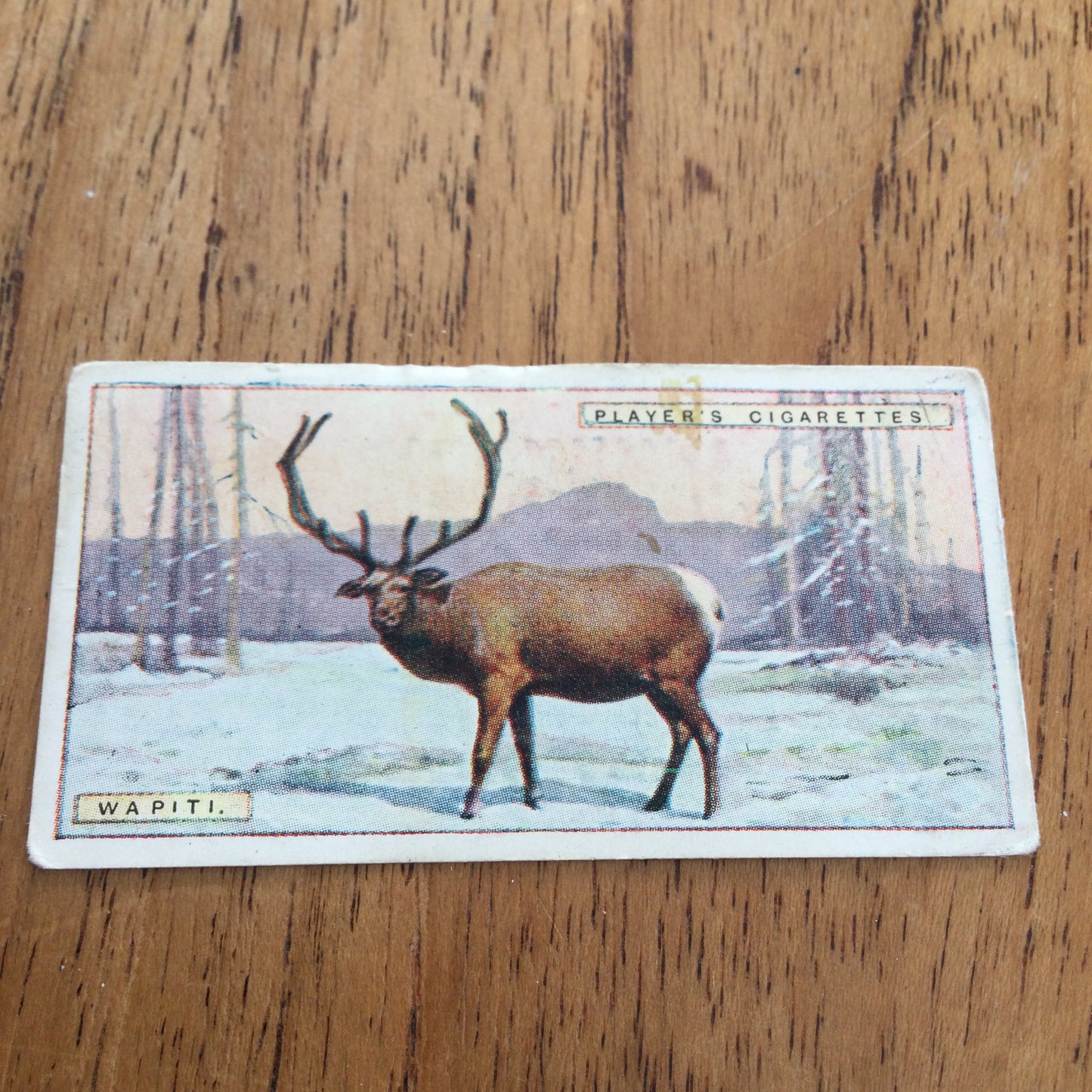 Players Cigarette Cards 'Natural History' 1924. Sold individually so take your pick.