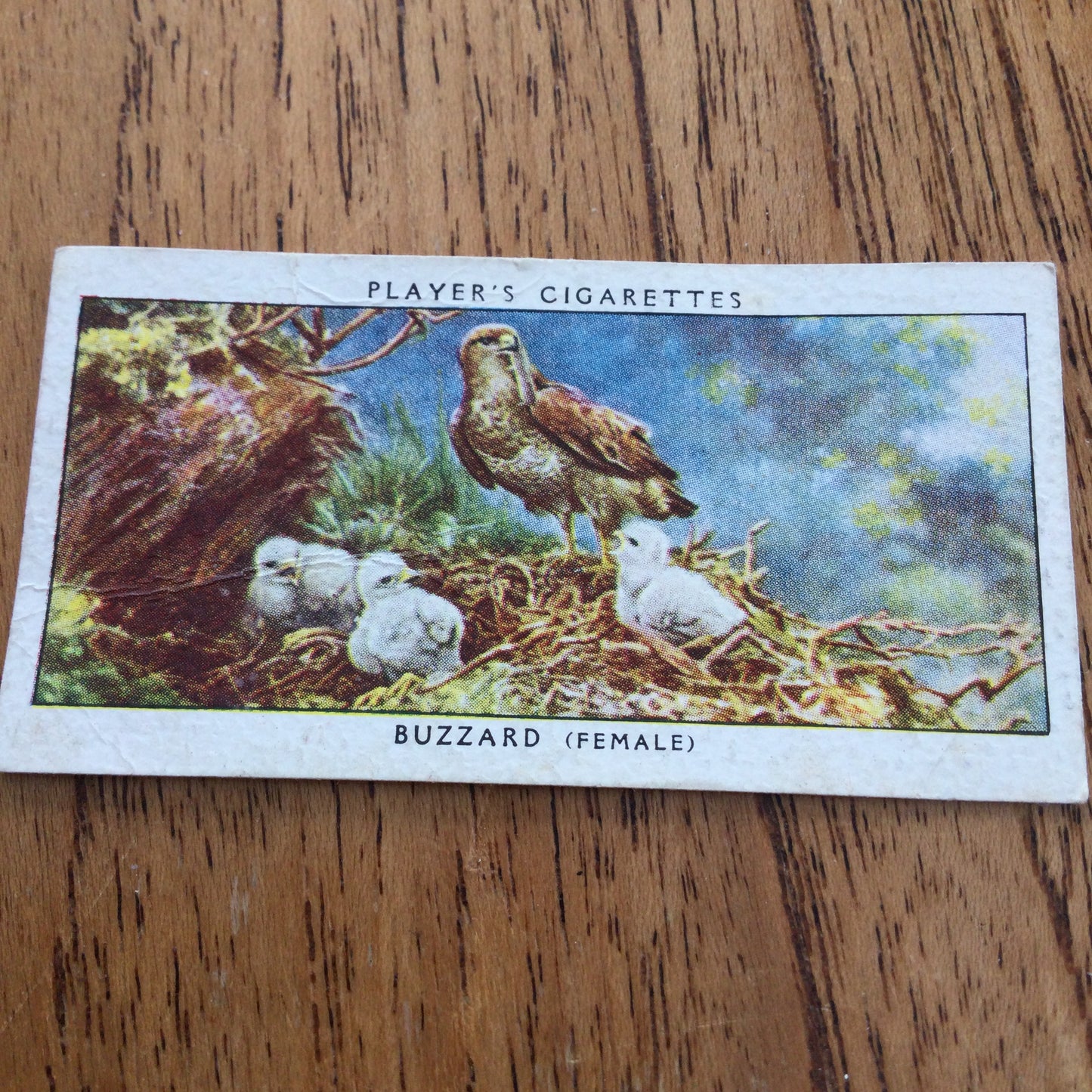 Players Cigarette Cards 'Birds & Their Young' 1937. Sold individually so take your pick