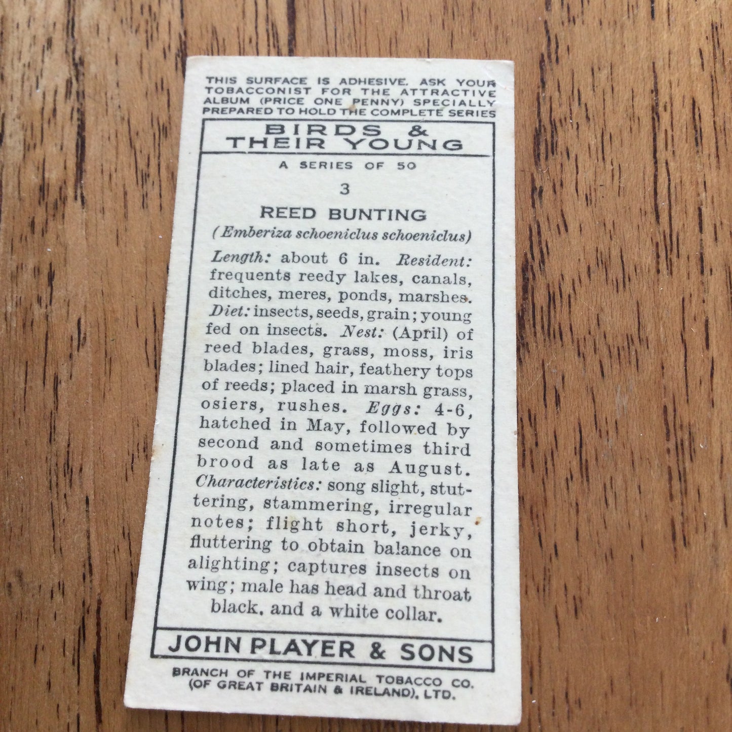 Players Cigarette Cards 'Birds & Their Young' 1937. Sold individually so take your pick