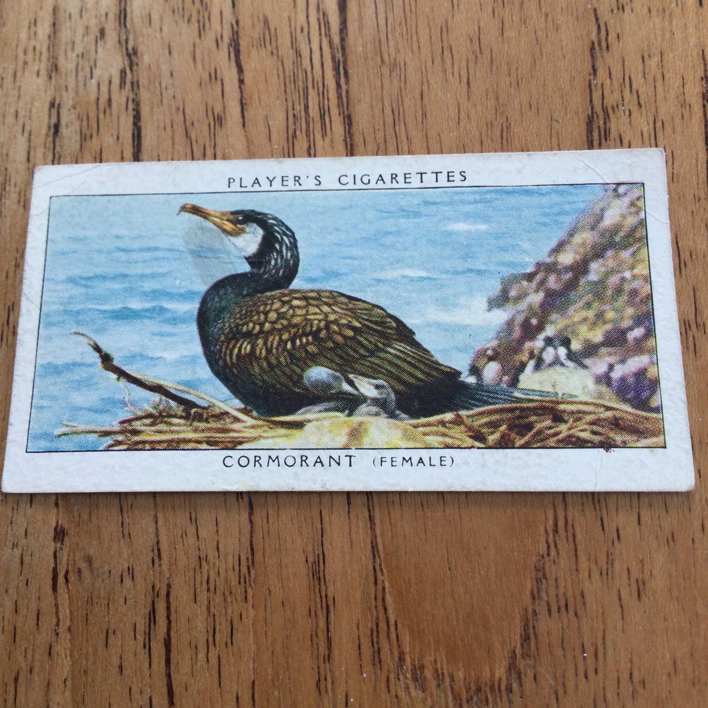 Players Cigarette Cards 'Birds & Their Young' 1937. Sold individually so take your pick