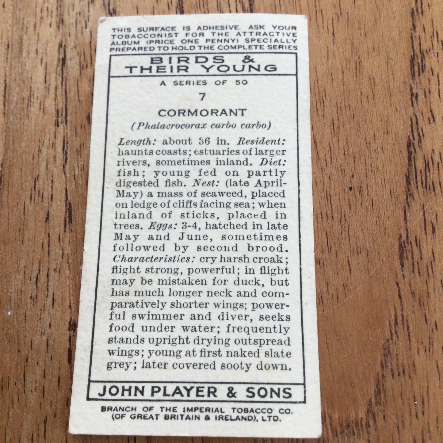 Players Cigarette Cards 'Birds & Their Young' 1937. Sold individually so take your pick