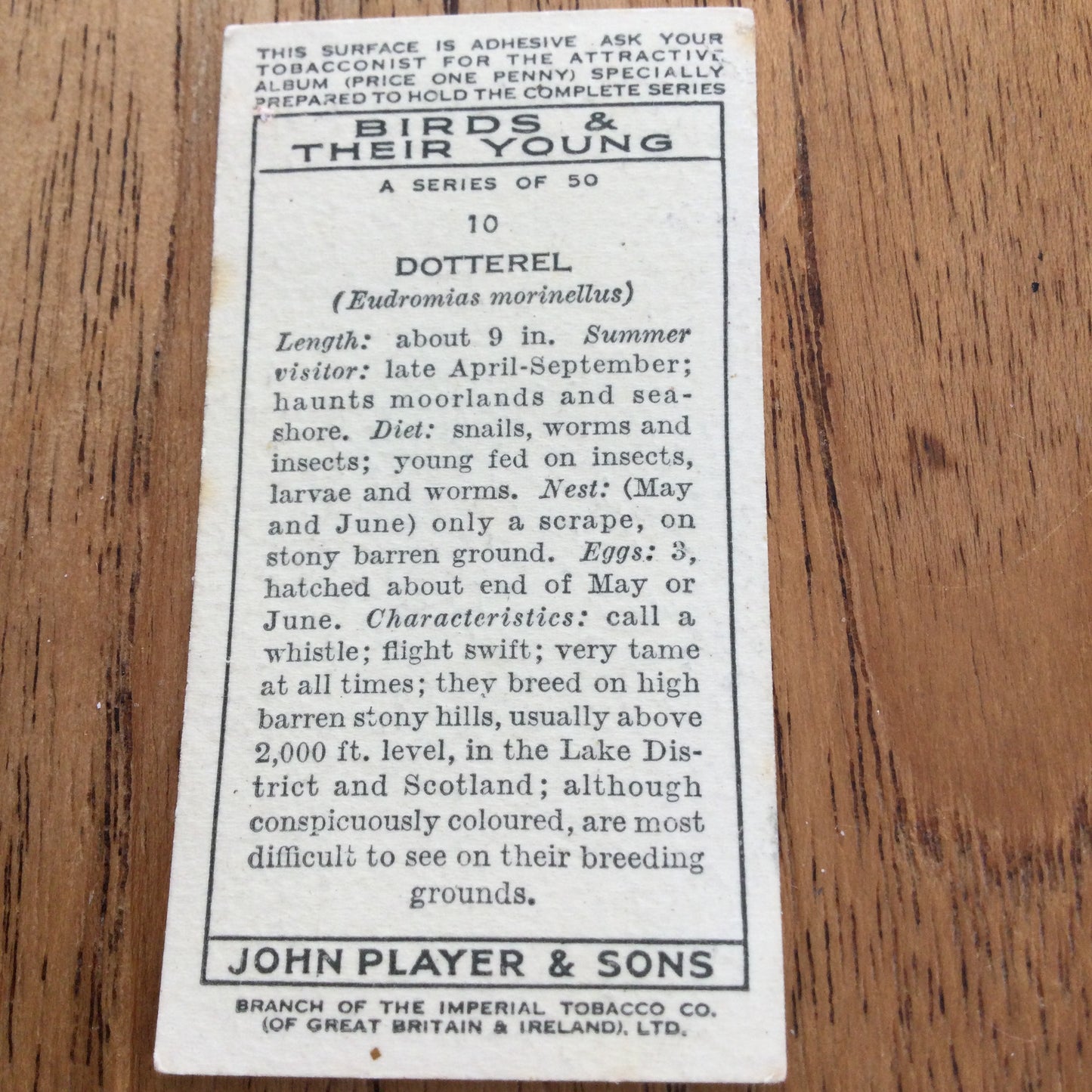 Players Cigarette Cards 'Birds & Their Young' 1937. Sold individually so take your pick