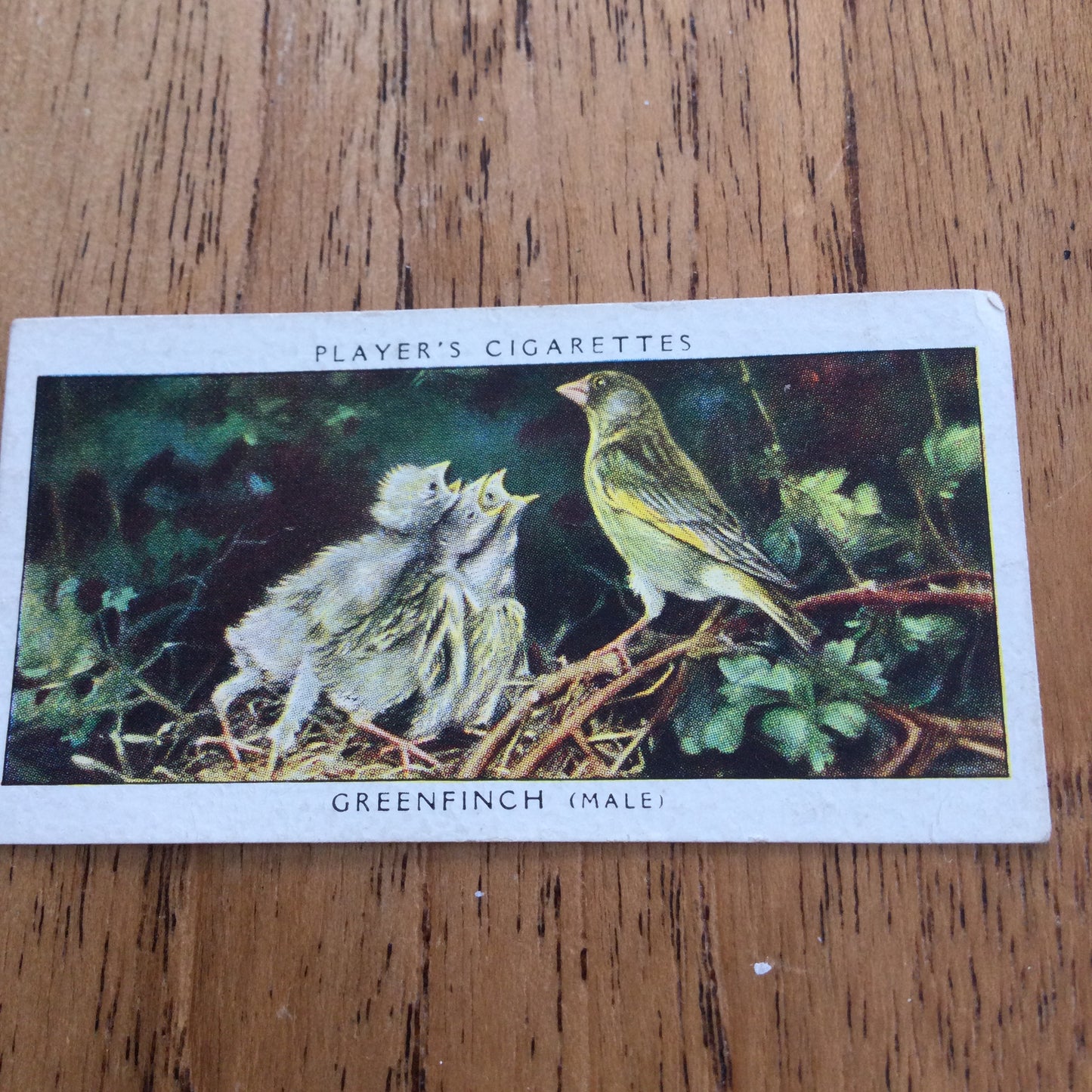 Players Cigarette Cards 'Birds & Their Young' 1937. Sold individually so take your pick