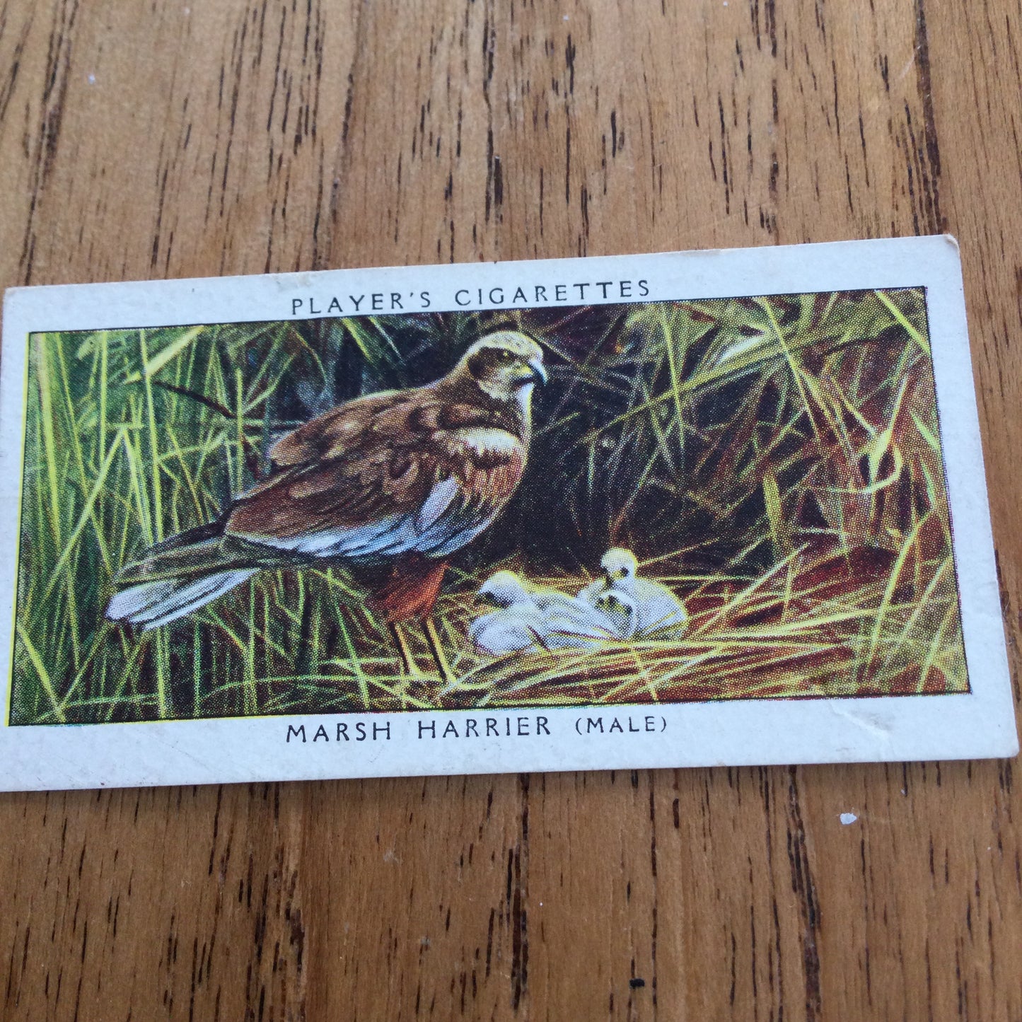 Players Cigarette Cards 'Birds & Their Young' 1937. Sold individually so take your pick