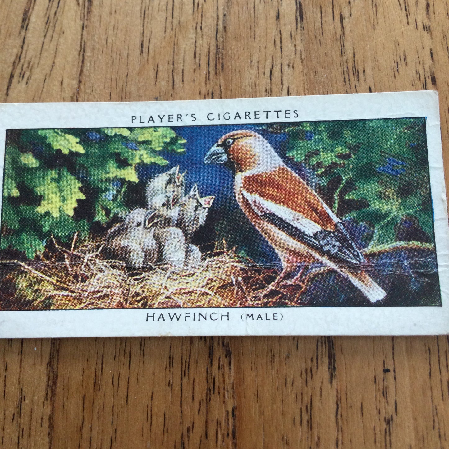 Players Cigarette Cards 'Birds & Their Young' 1937. Sold individually so take your pick