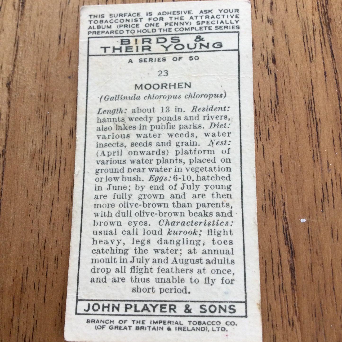 Players Cigarette Cards 'Birds & Their Young' 1937. Sold individually so take your pick