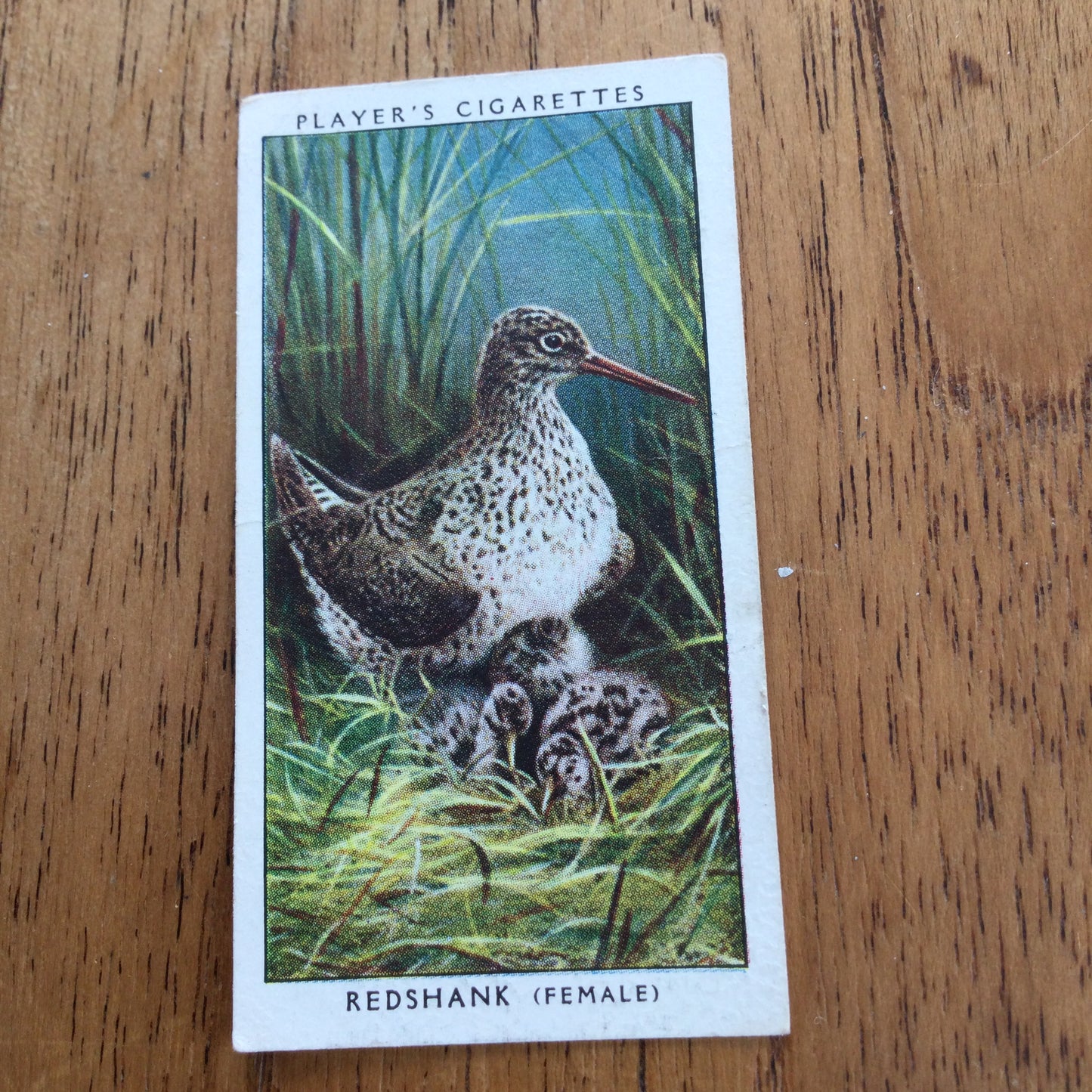 Players Cigarette Cards 'Birds & Their Young' 1937. Sold individually so take your pick