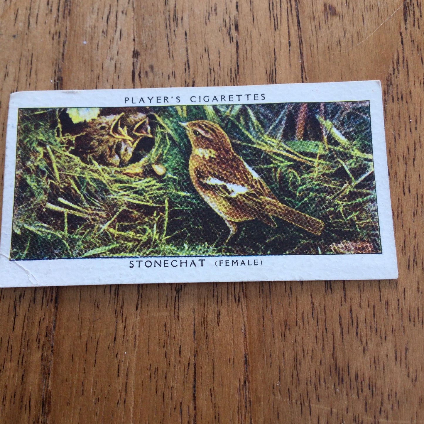 Players Cigarette Cards 'Birds & Their Young' 1937. Sold individually so take your pick