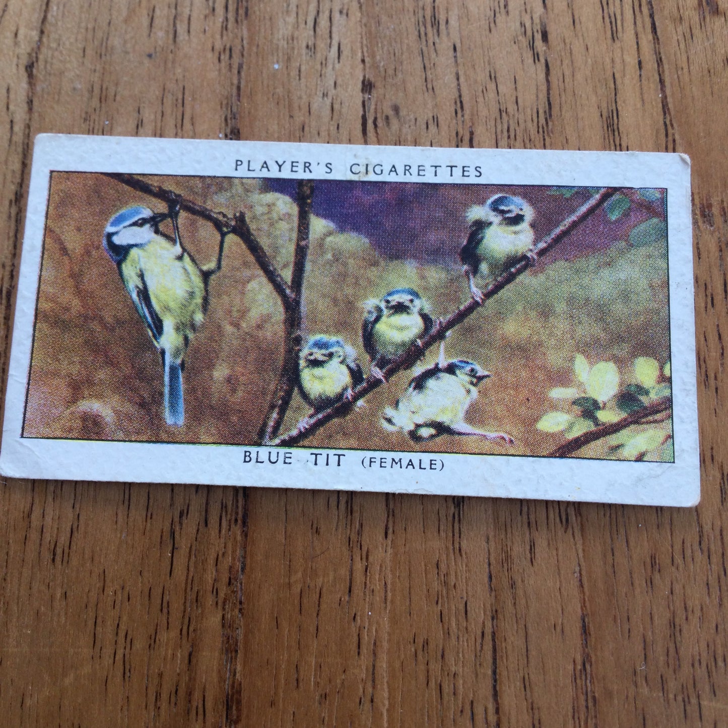 Players Cigarette Cards 'Birds & Their Young' 1937. Sold individually so take your pick