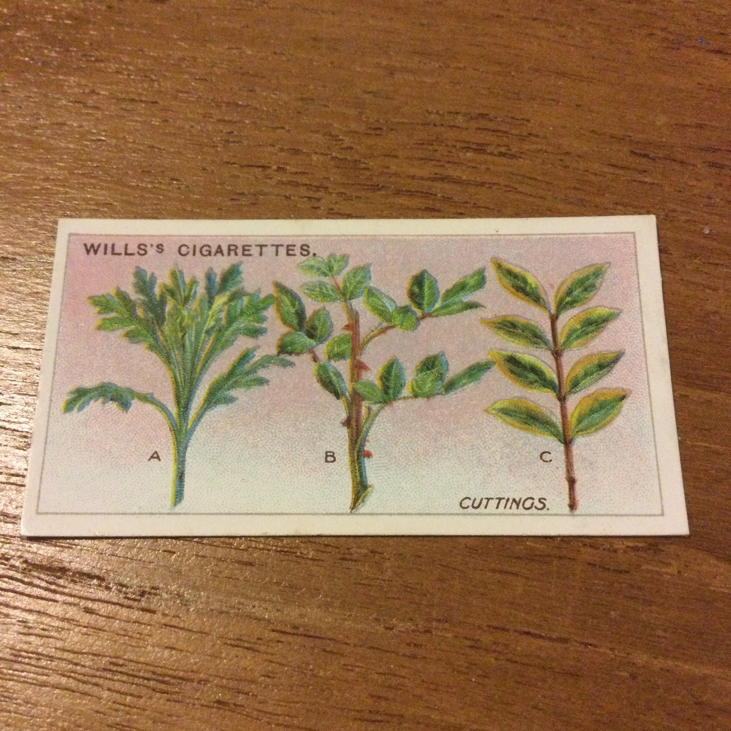 Wills Cigarette Cards GARDENING HINTS 1938. Sold individually so take your pick.