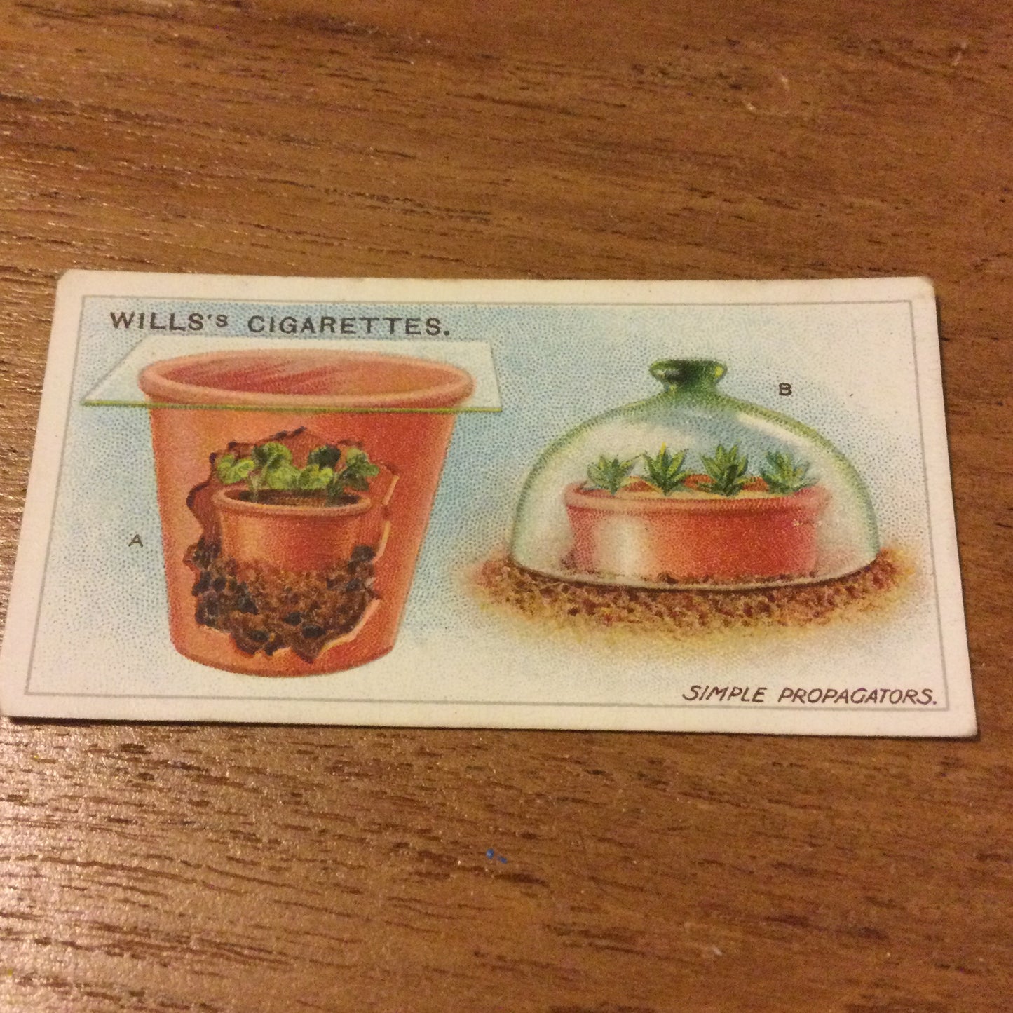 Wills Cigarette Cards GARDENING HINTS 1938. Sold individually so take your pick.