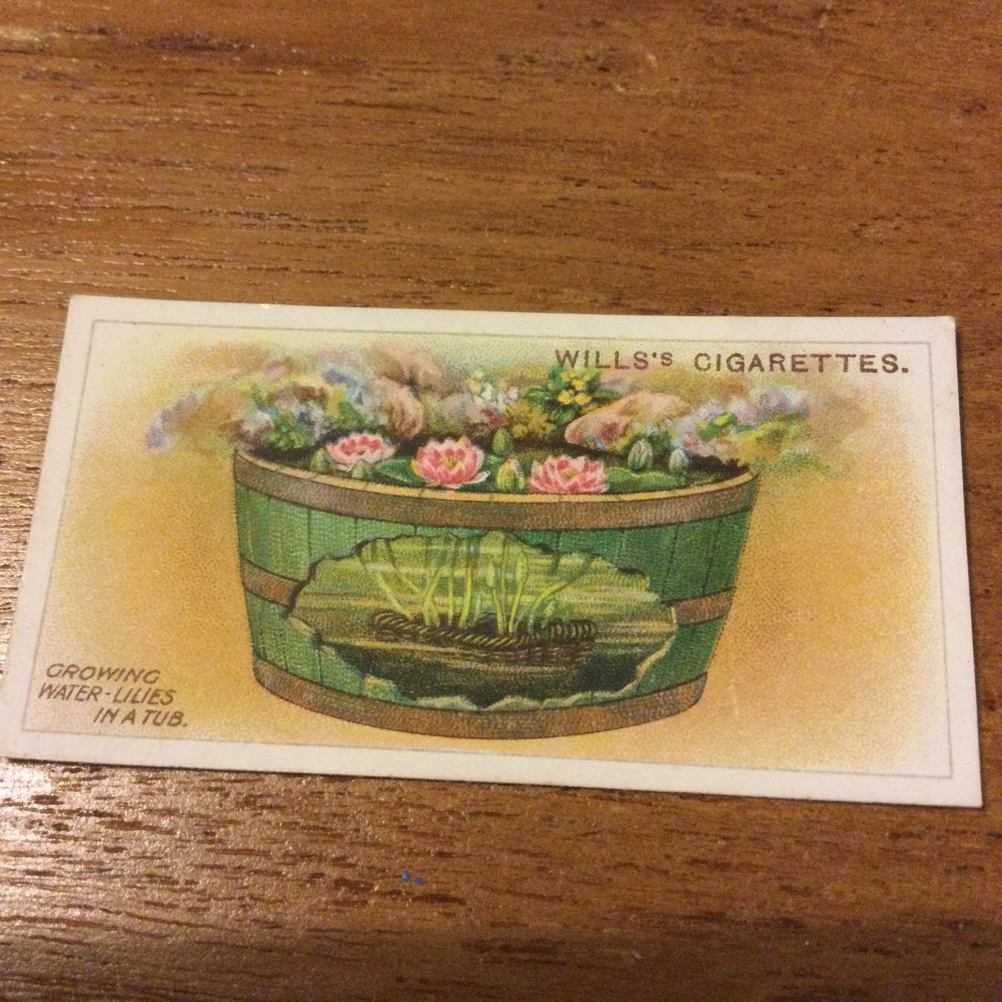 Wills Cigarette Cards GARDENING HINTS 1938. Sold individually so take your pick.