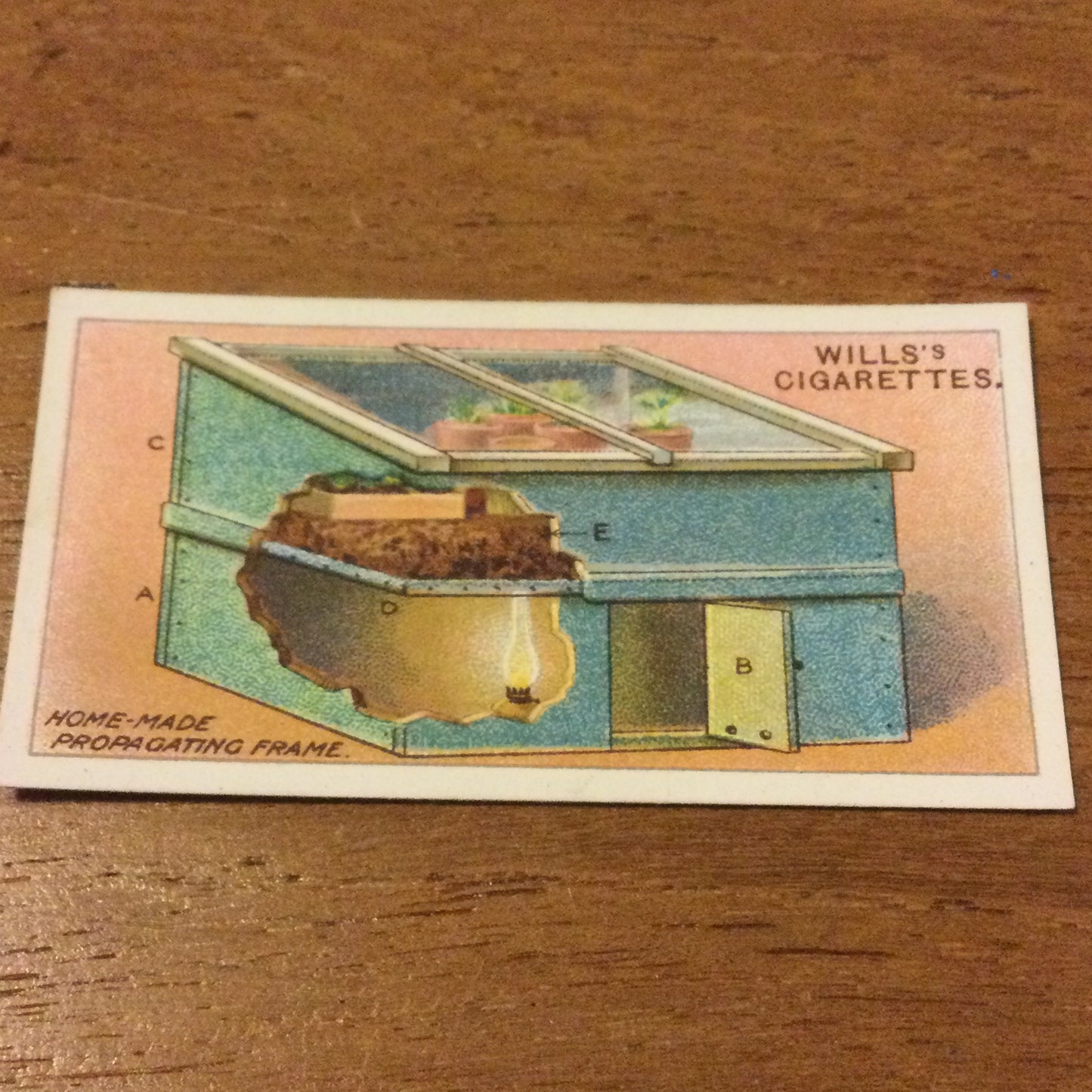 Wills Cigarette Cards GARDENING HINTS 1938. Sold individually so take your pick.